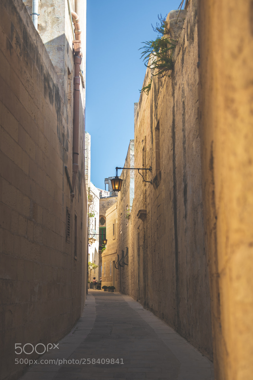Nikon D850 sample photo. Malta nikon full photography