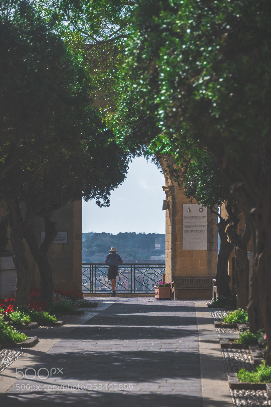 Nikon D850 sample photo. Malta nikon full photography