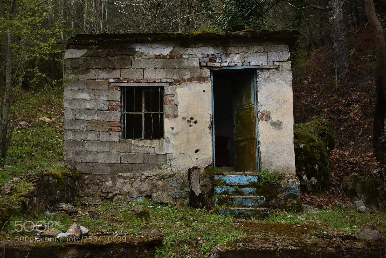 Nikon D3400 sample photo. Depraved house in the photography