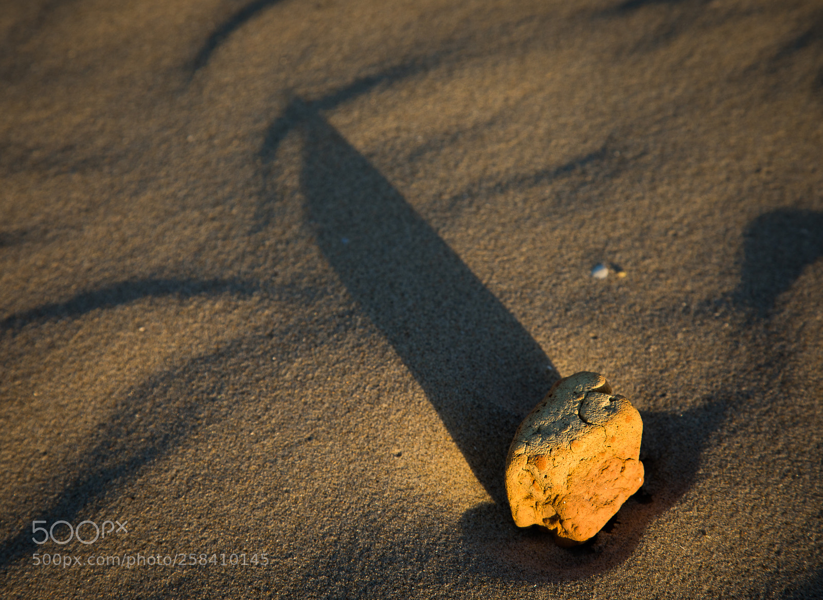 Canon EOS 5D Mark IV sample photo. Still life with stone photography