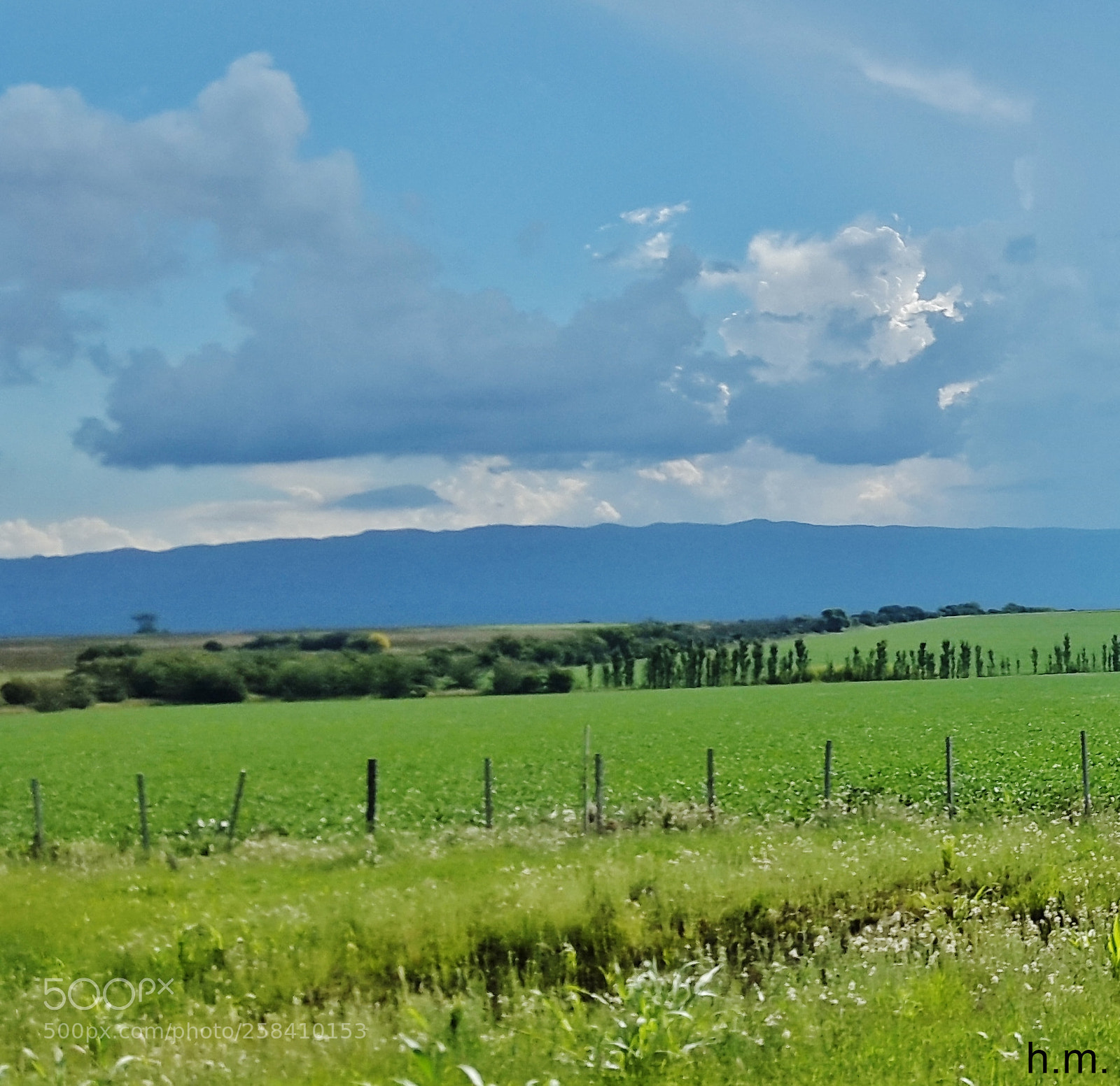 Samsung Galaxy S5 sample photo. Fao photography