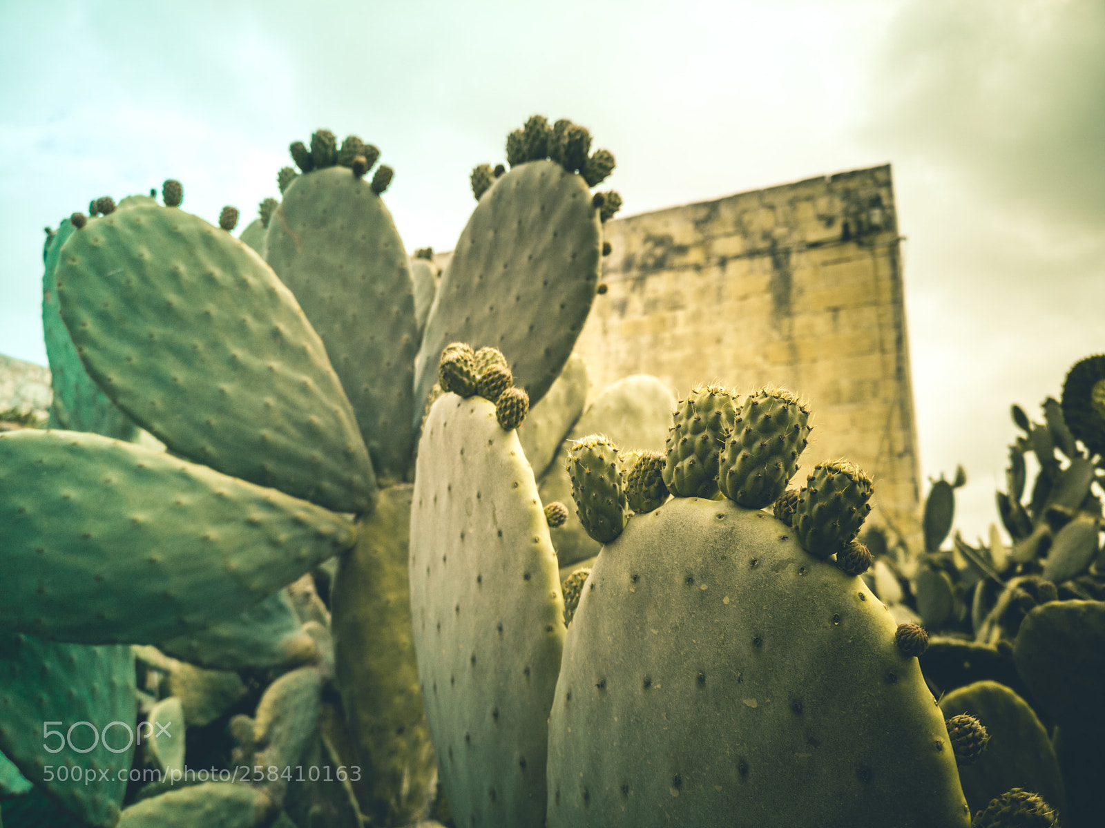 HUAWEI CLT-L29 sample photo. Malta huawei full photography