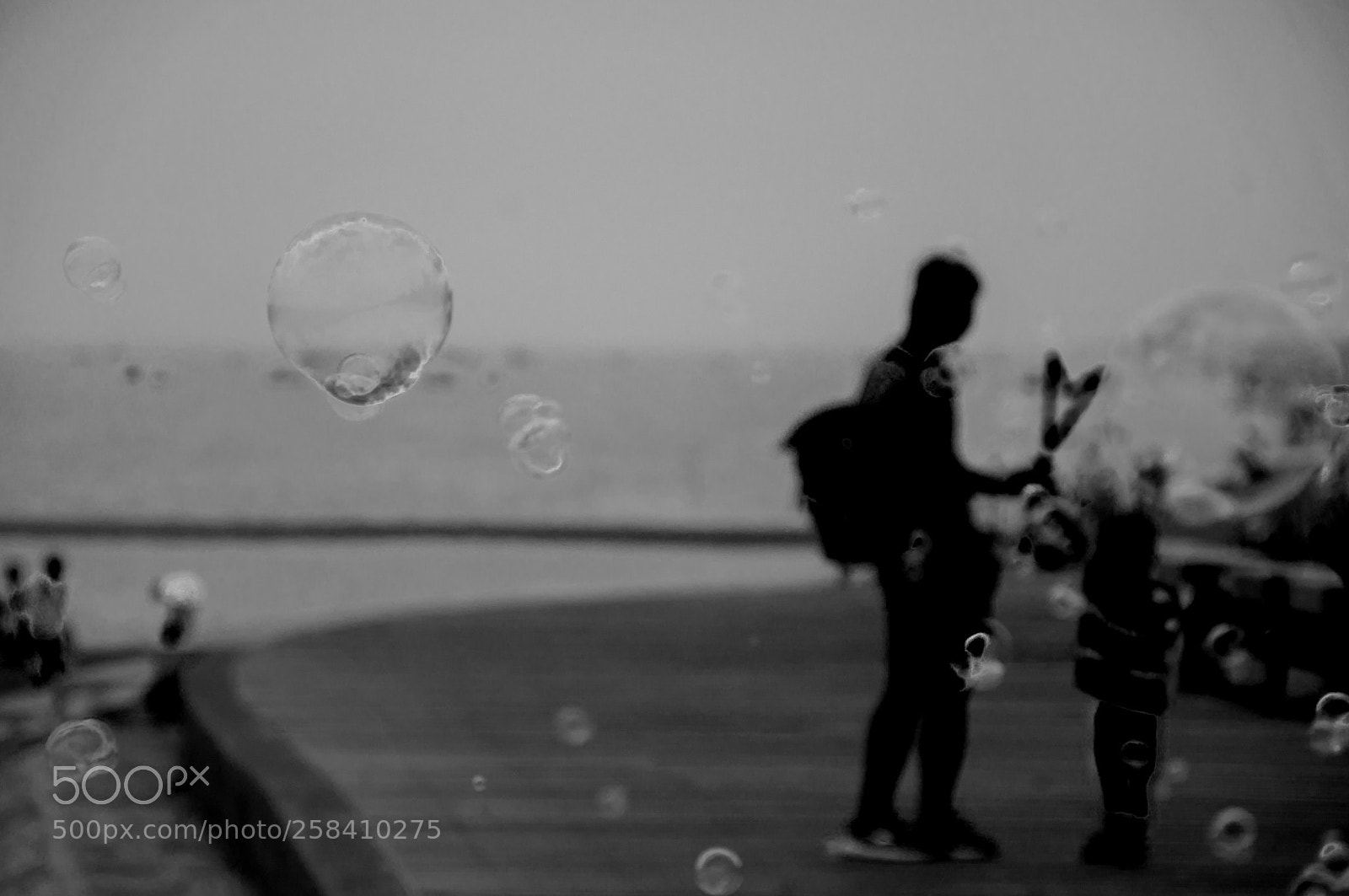 Nikon D90 sample photo. Untitled photography