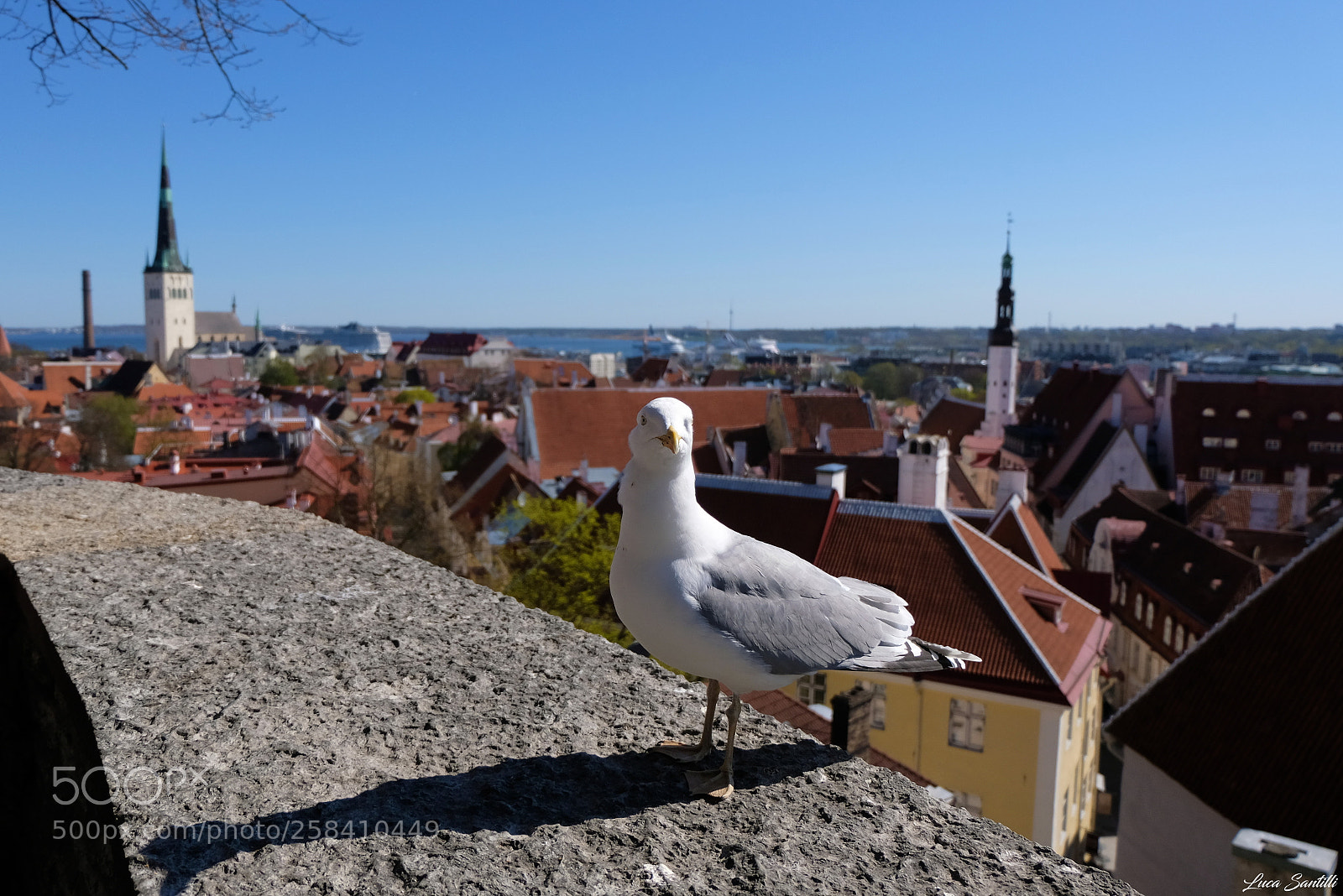 Fujifilm X-T20 sample photo. Panorama di tallinn dalla photography