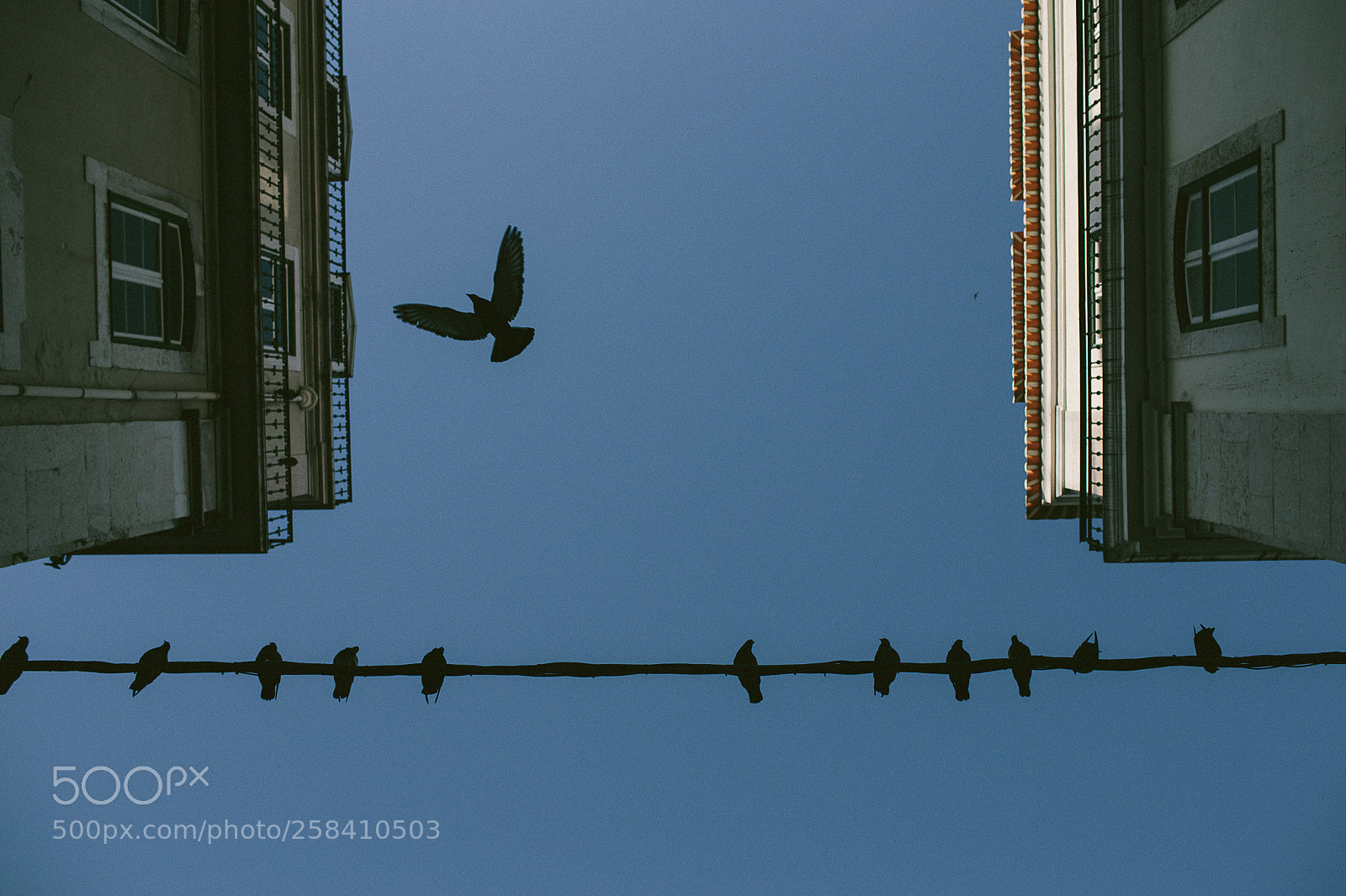 Canon EOS 6D sample photo. Sky of lisbon photography