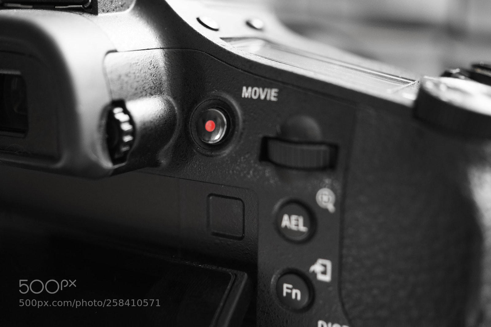 Sony SLT-A68 sample photo. Rx10 photography