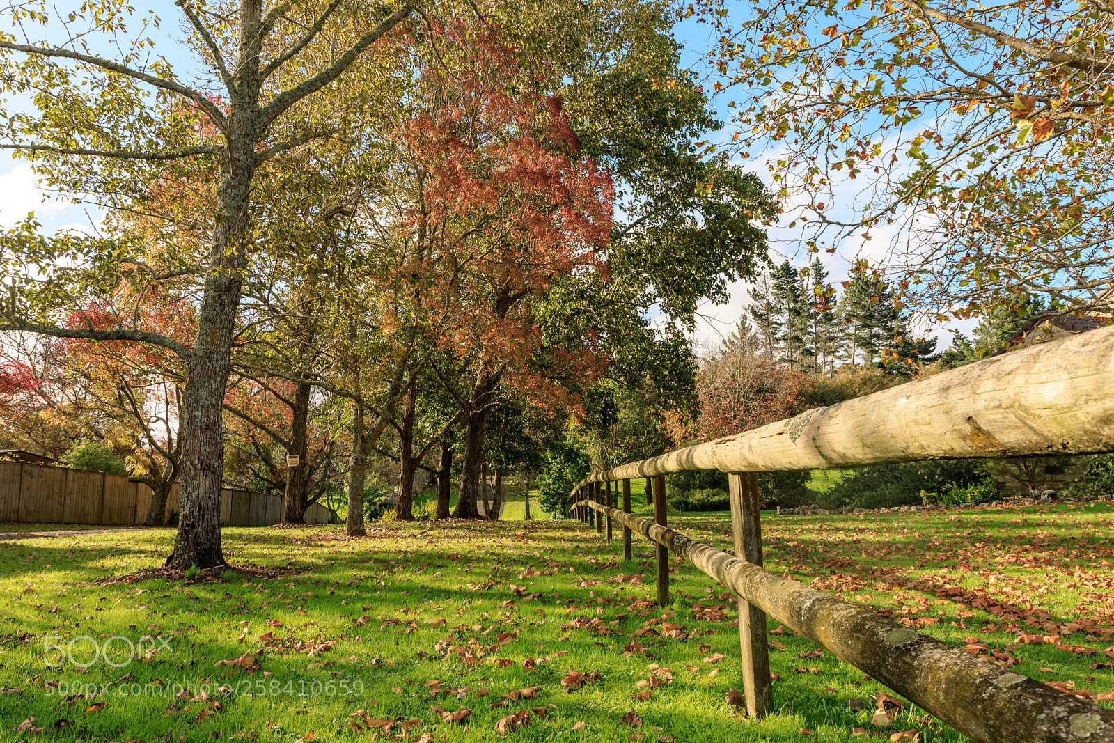 Canon EOS 5D Mark IV sample photo. Beautiful new zealand fall photography