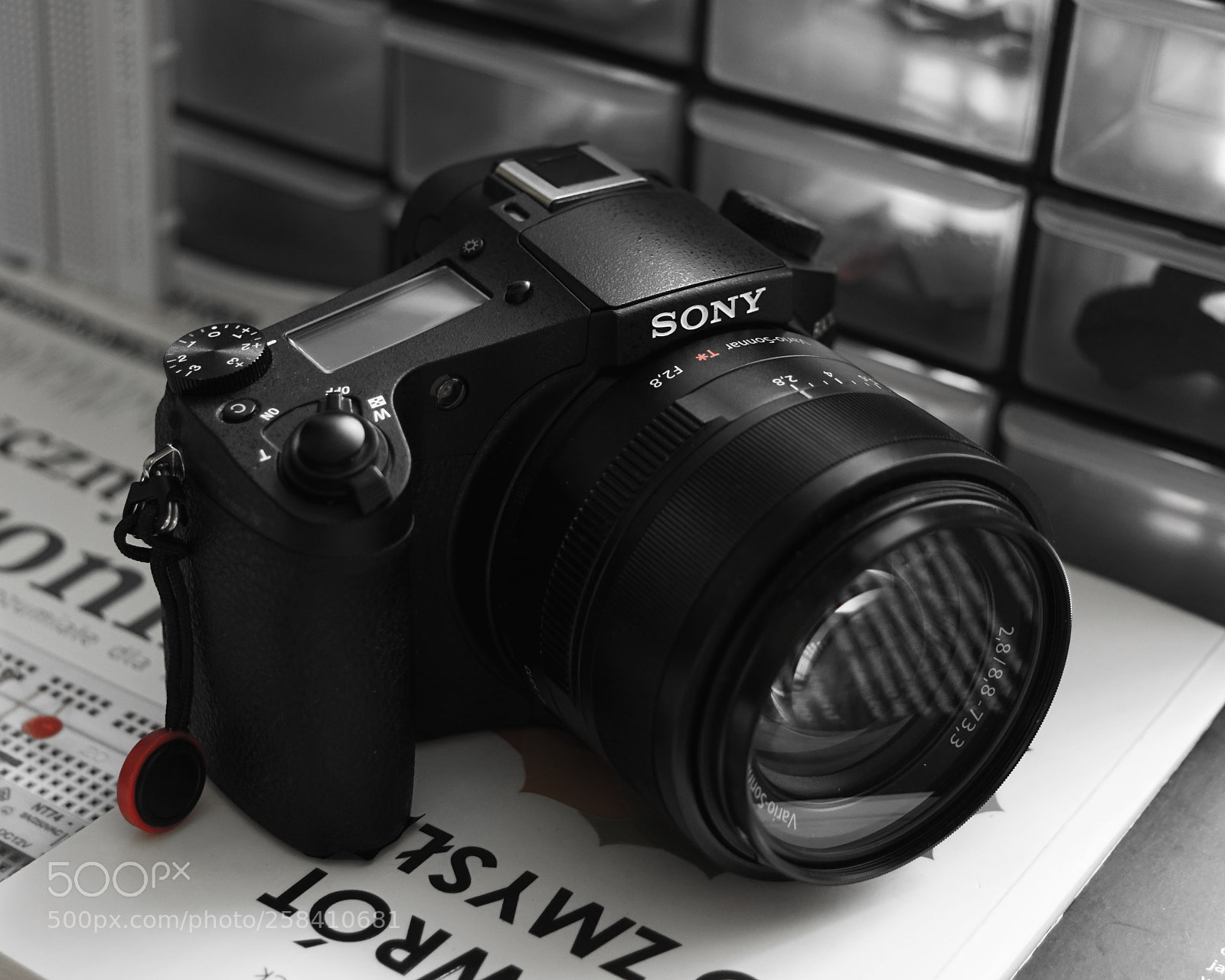 Sony SLT-A68 sample photo. Rx10 photography