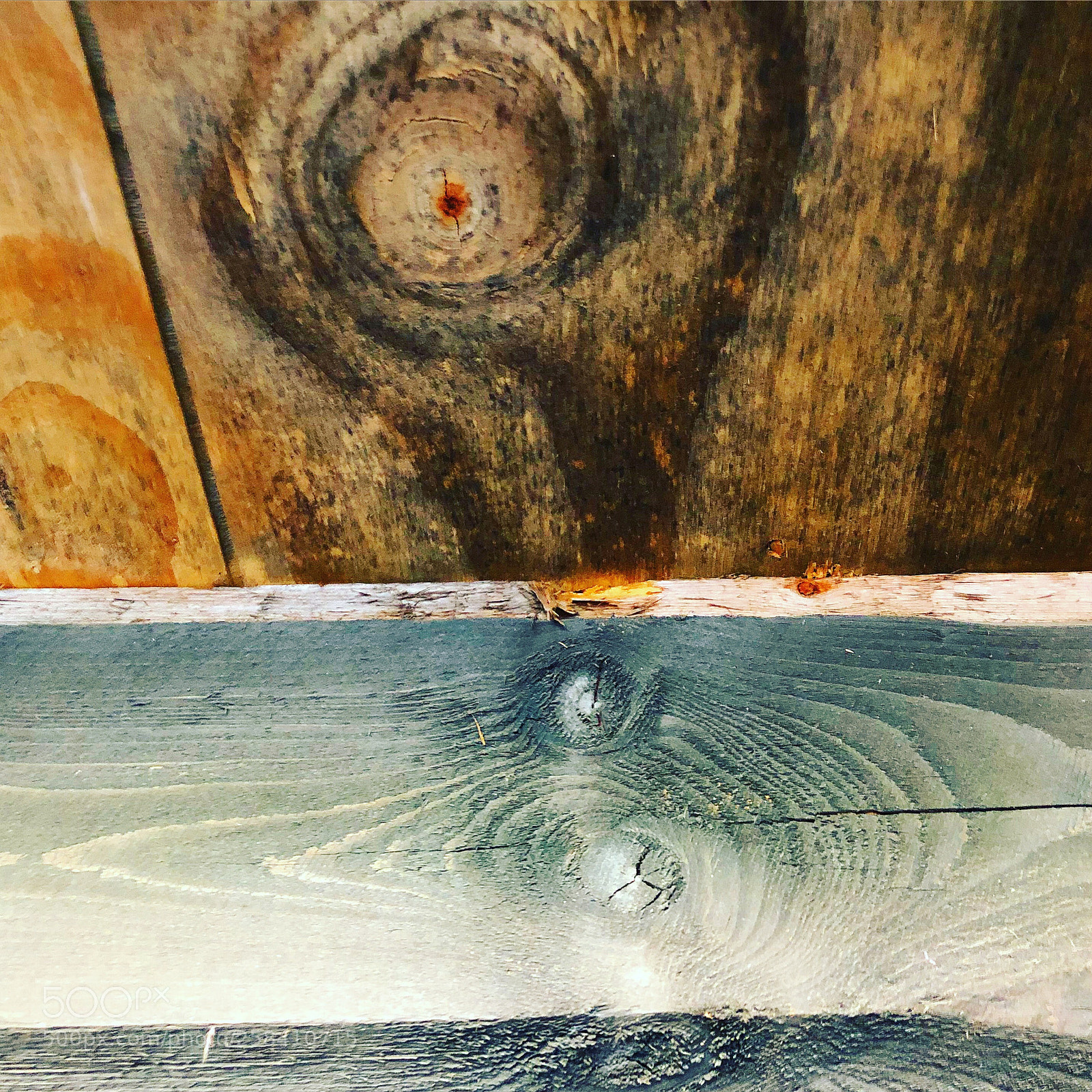 Apple iPhone 8 Plus sample photo. Colours n’ wood photography
