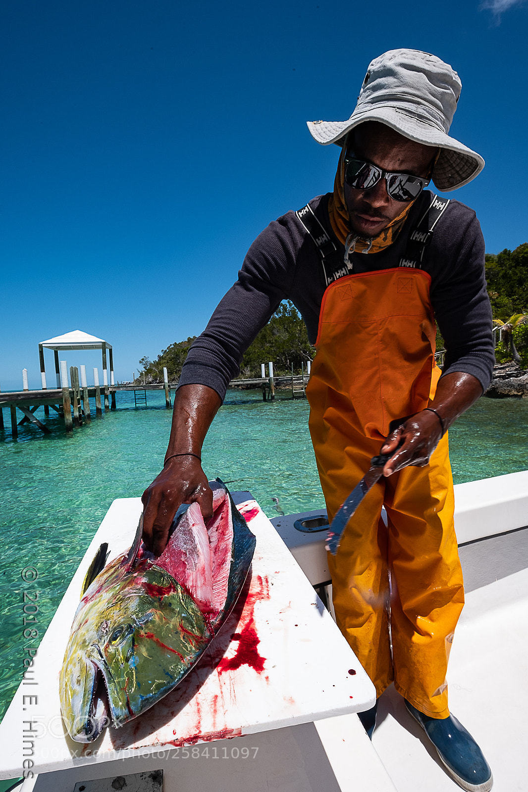Fujifilm X-H1 sample photo. Mahi mahi - fish photography