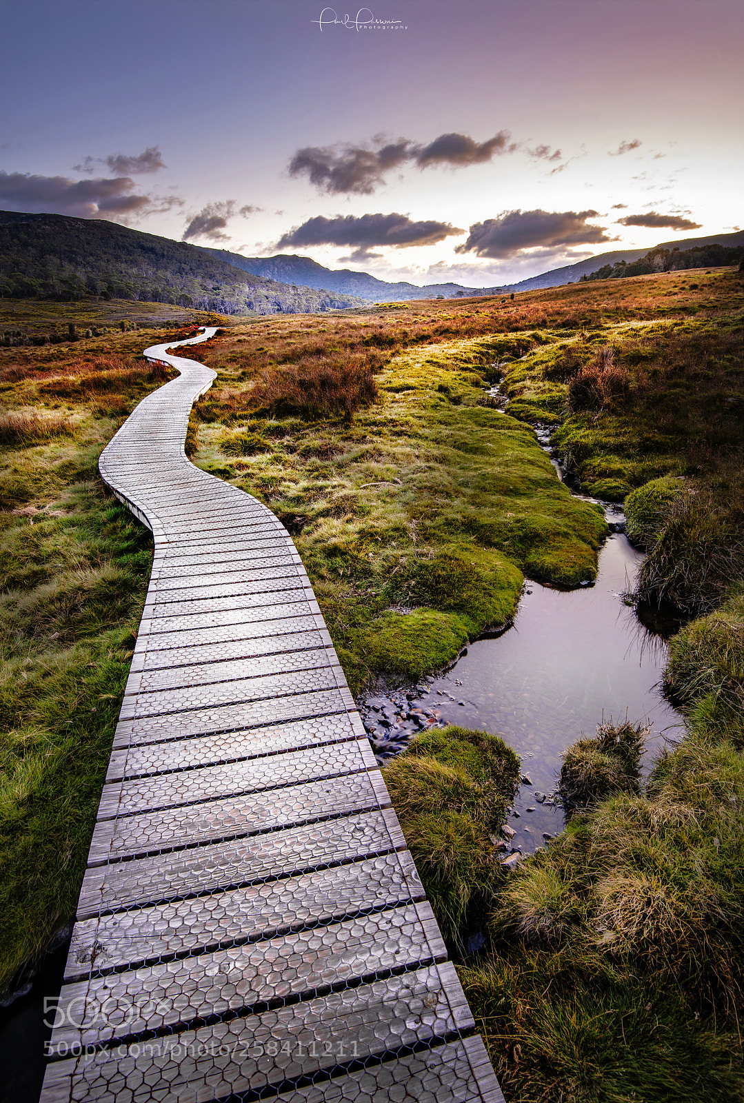 Nikon D810 sample photo. Tasmanian wilderness photography