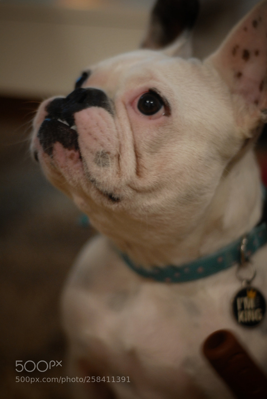 Nikon D200 sample photo. Gimme! photography