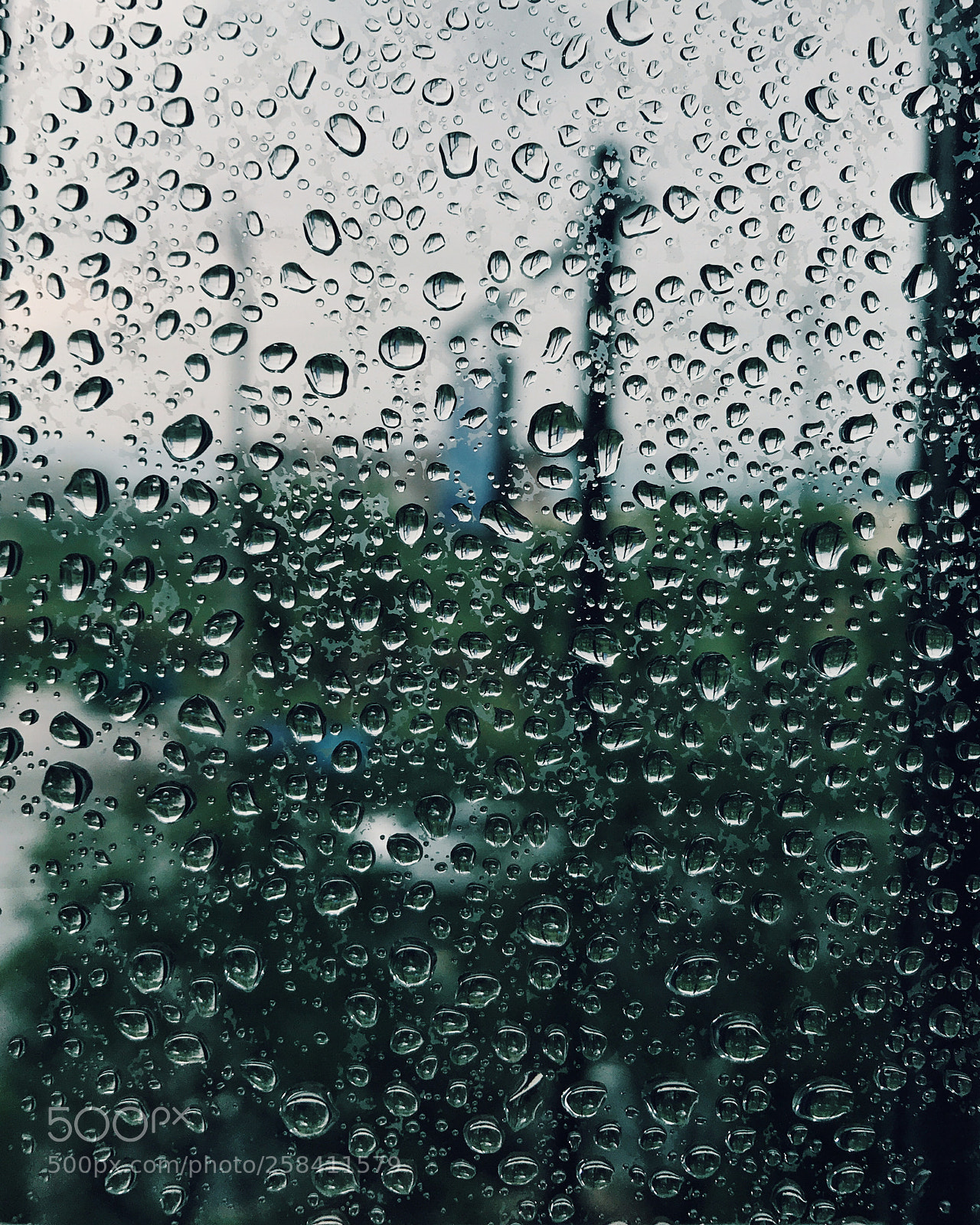 Apple iPhone 7 Plus sample photo. 雨滴 photography