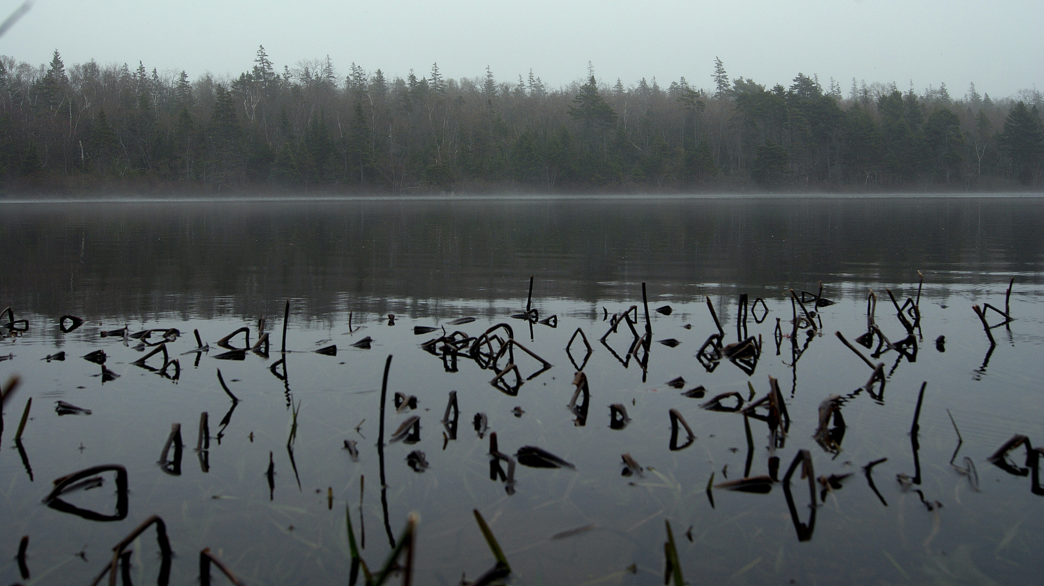 Sony Alpha DSLR-A330 sample photo. Misty lake photography