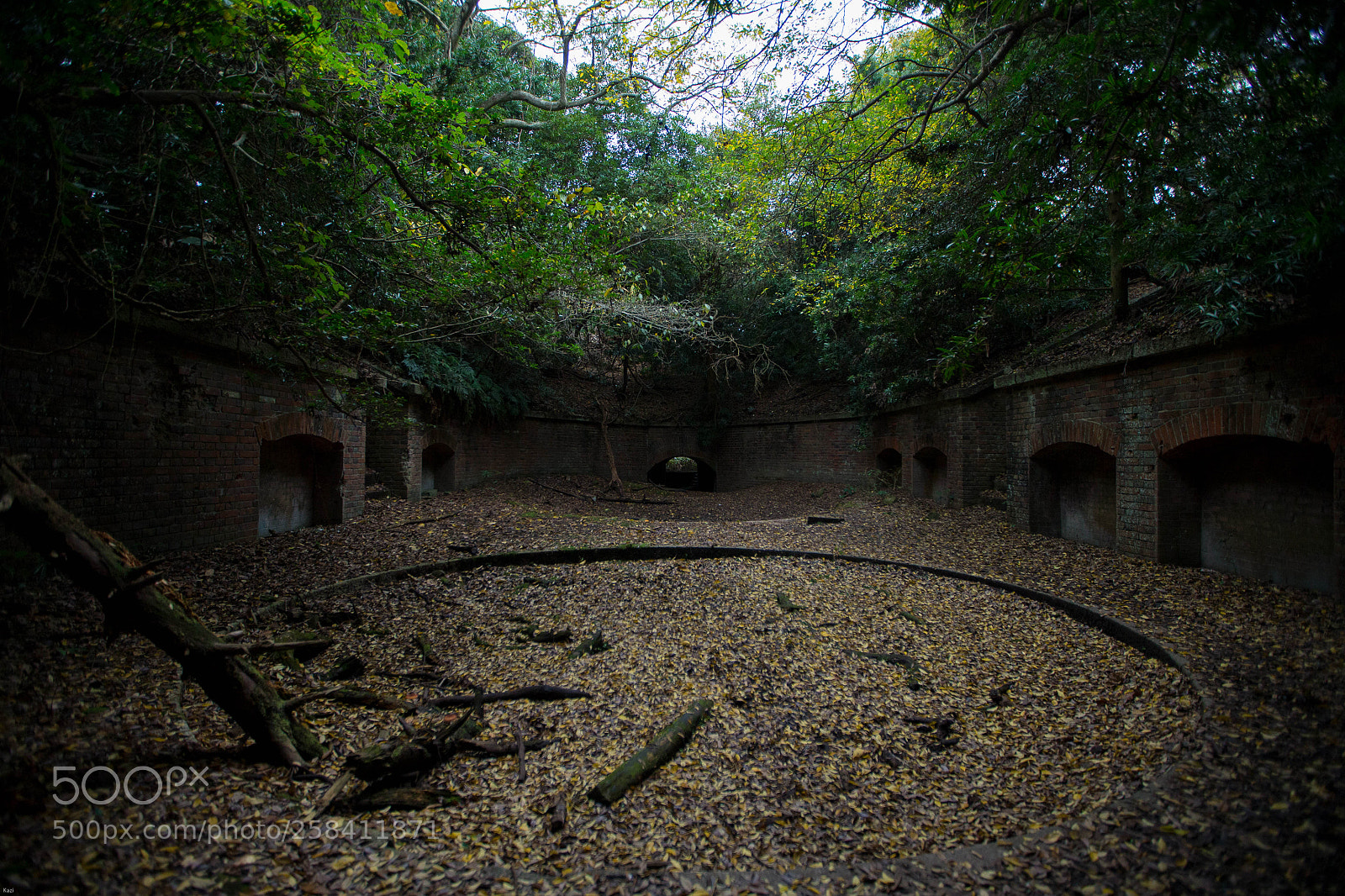 Canon EOS-1D X sample photo. Remains of the cannon photography