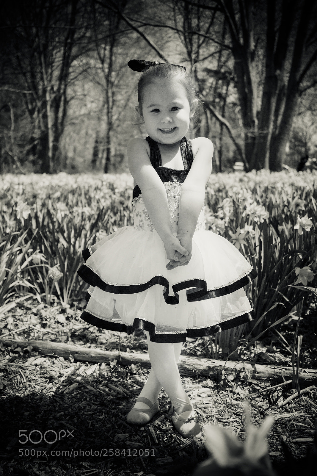 Canon EOS 600D (Rebel EOS T3i / EOS Kiss X5) sample photo. Ballerina  photography