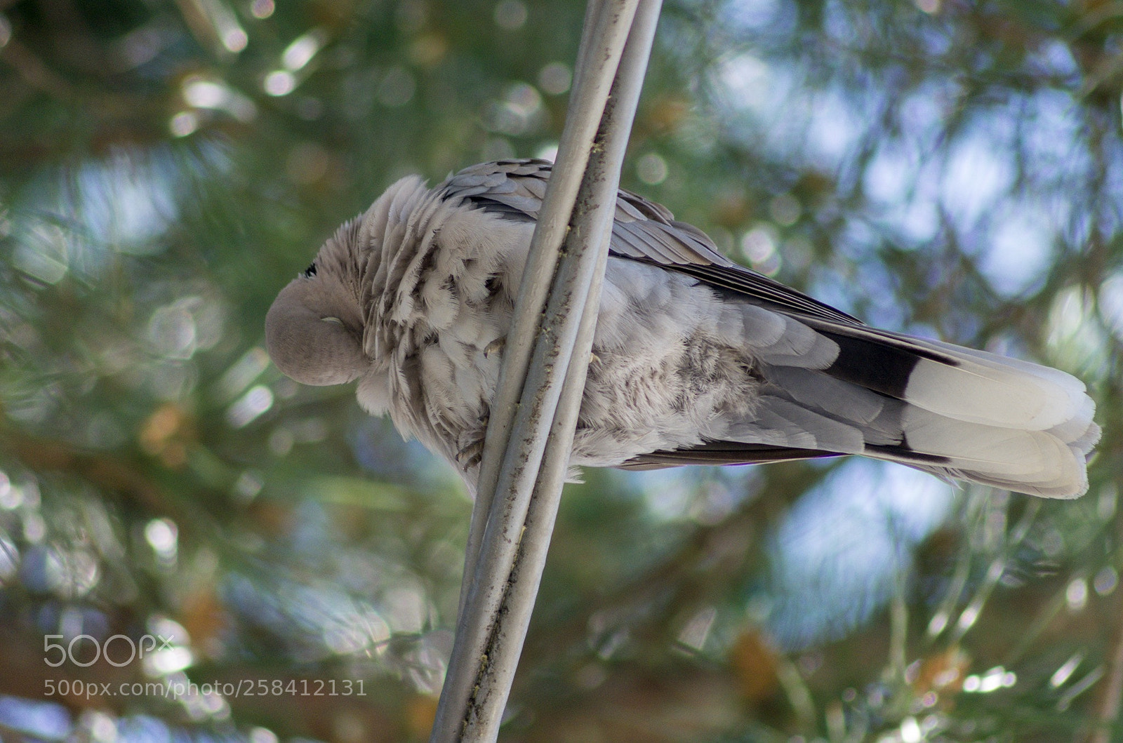 Pentax K-5 sample photo. Untitled photography