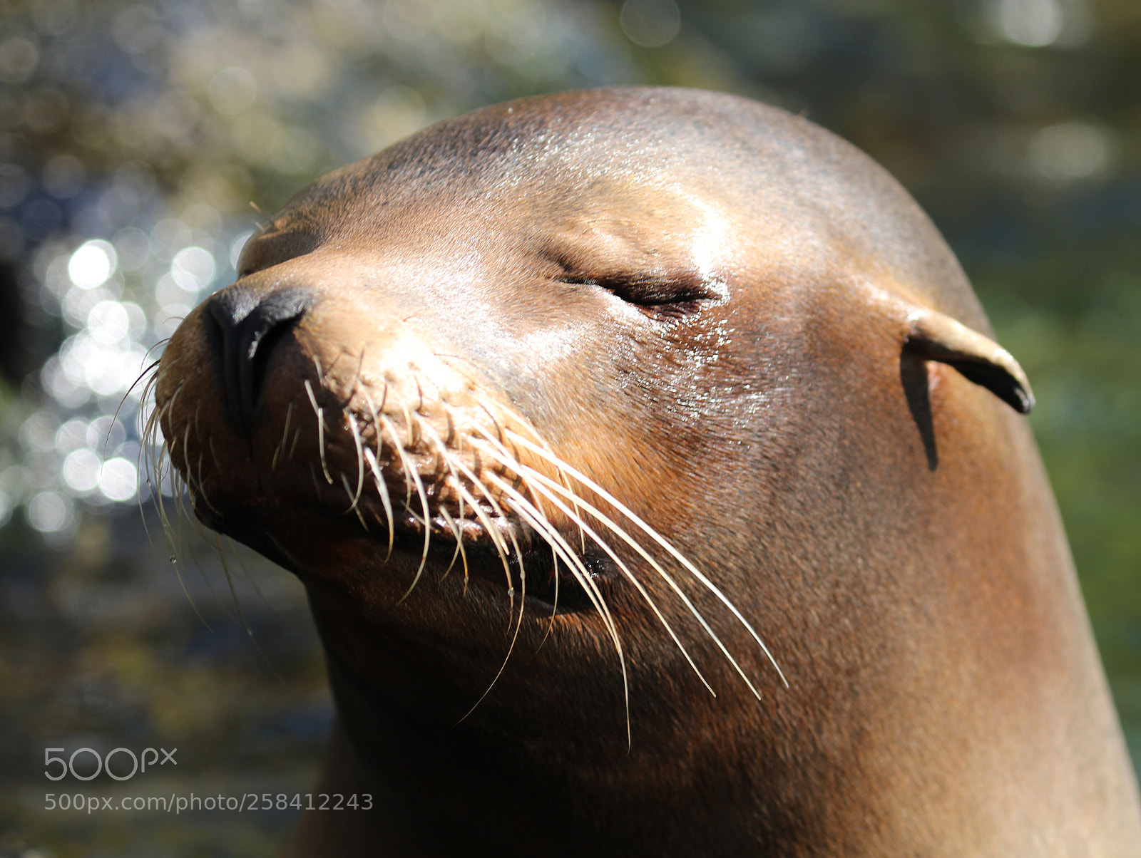 Canon EOS 7D Mark II sample photo. Eyes wide shut photography