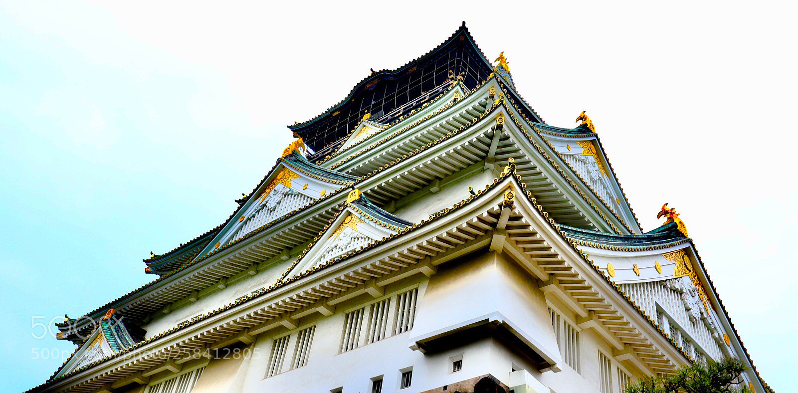 Canon EOS M5 sample photo. Osaka castle photography