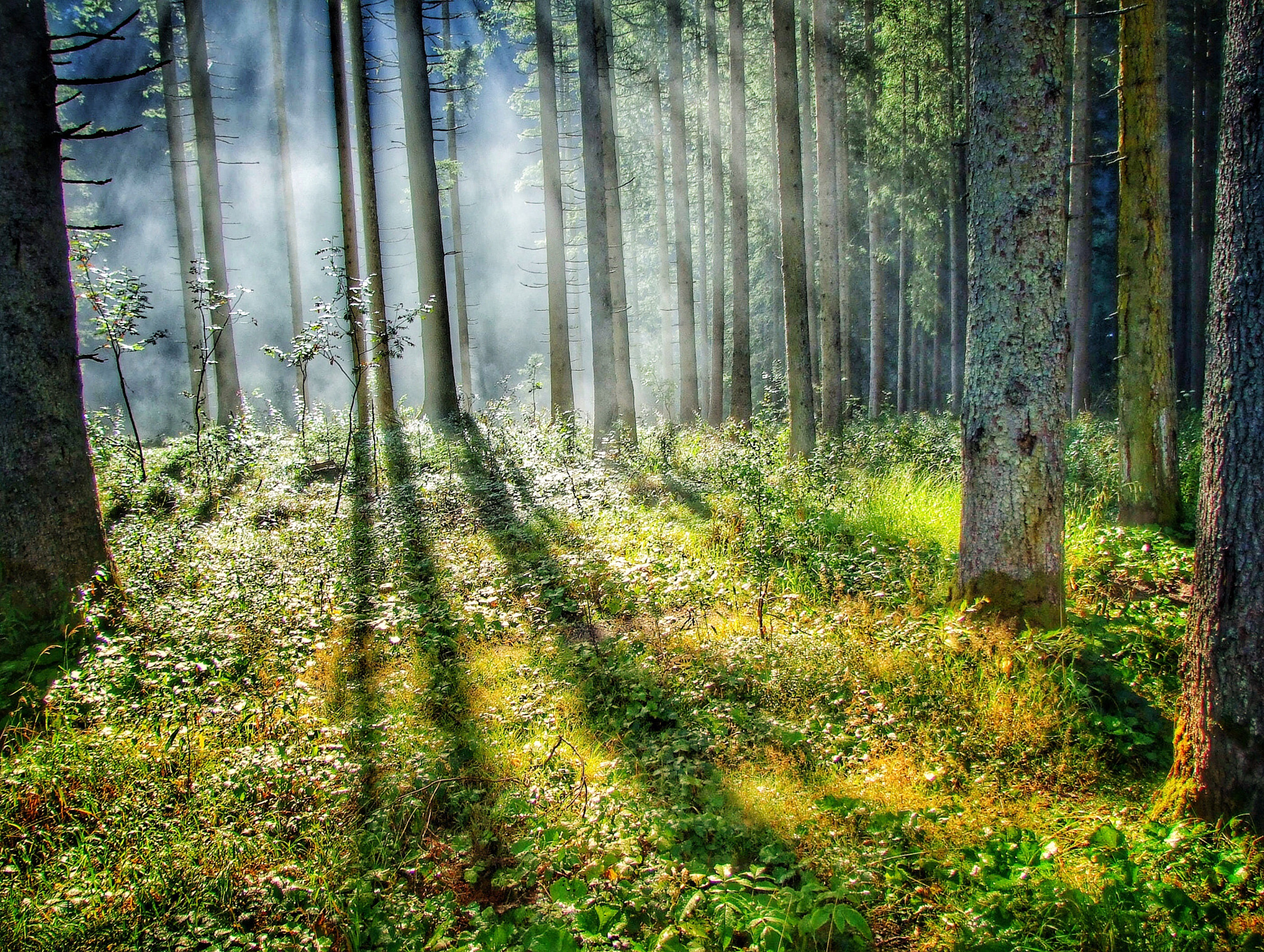 Fujifilm FinePix S6500fd sample photo. Parque nacional hohe tauern, austria photography