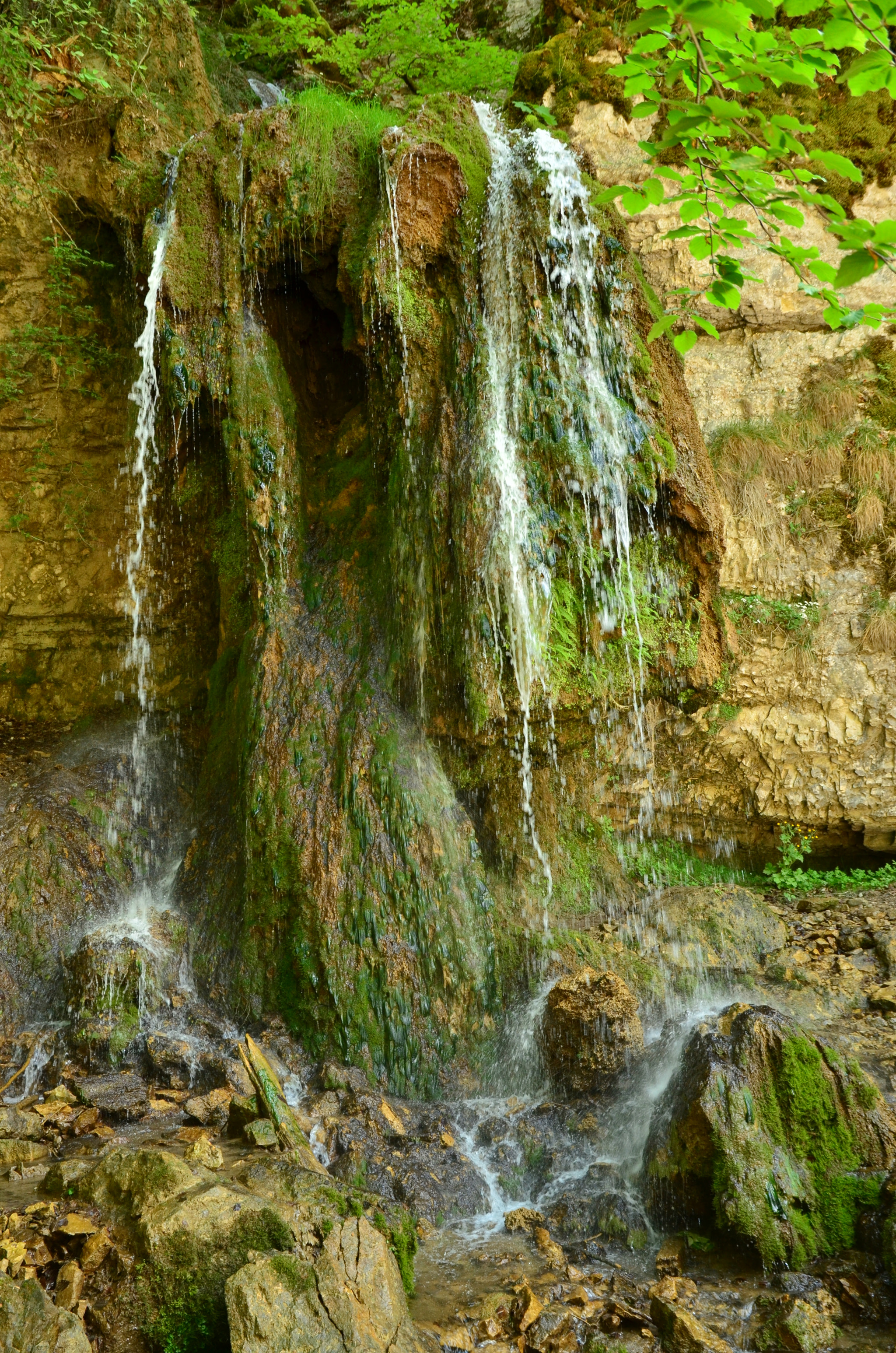 Sigma 17-70mm F2.8-4 DC Macro OS HSM | C sample photo. Water coming down on me photography