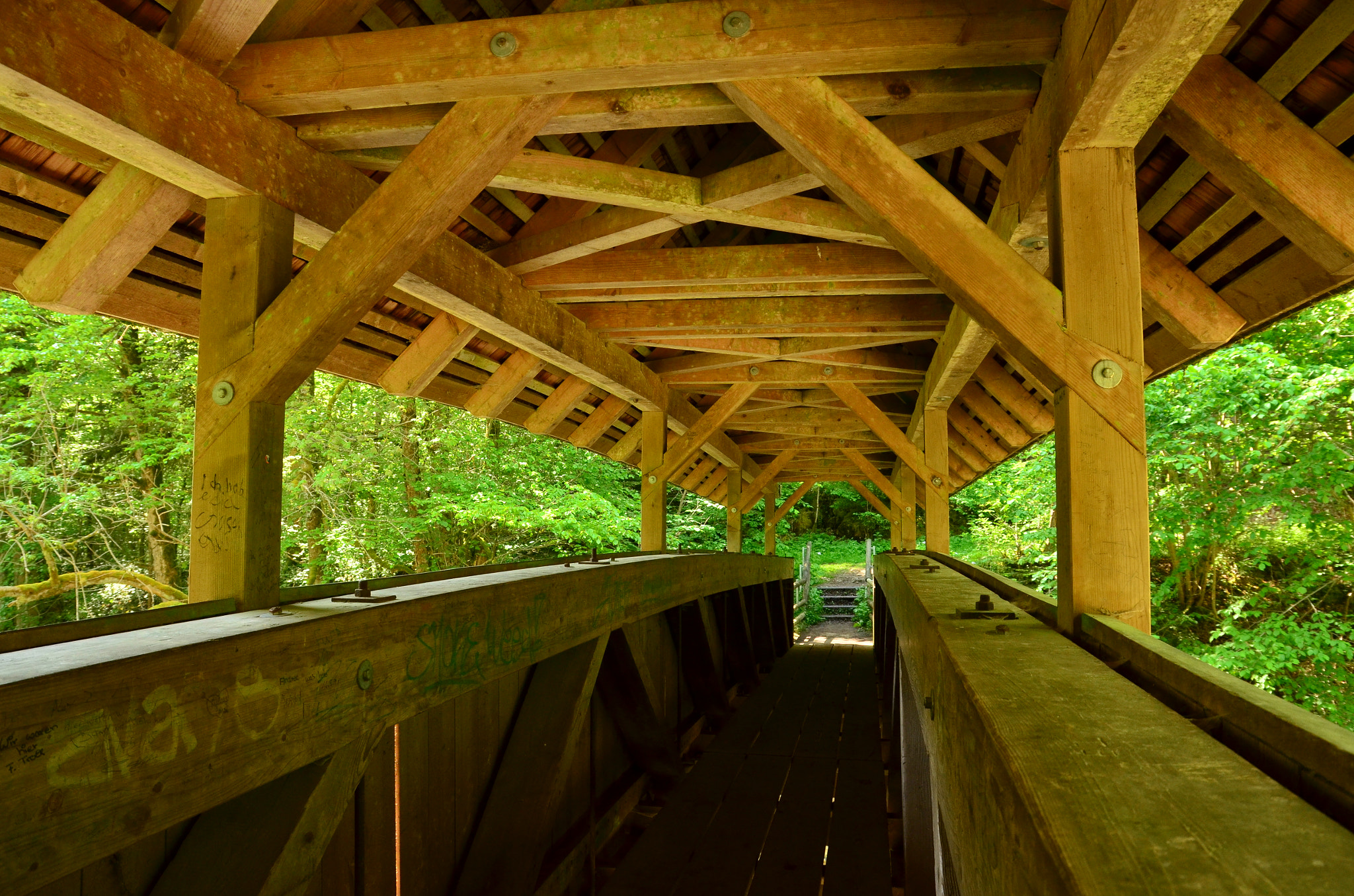 Sigma 17-70mm F2.8-4 DC Macro OS HSM | C sample photo. Bridging the gap with more wood photography