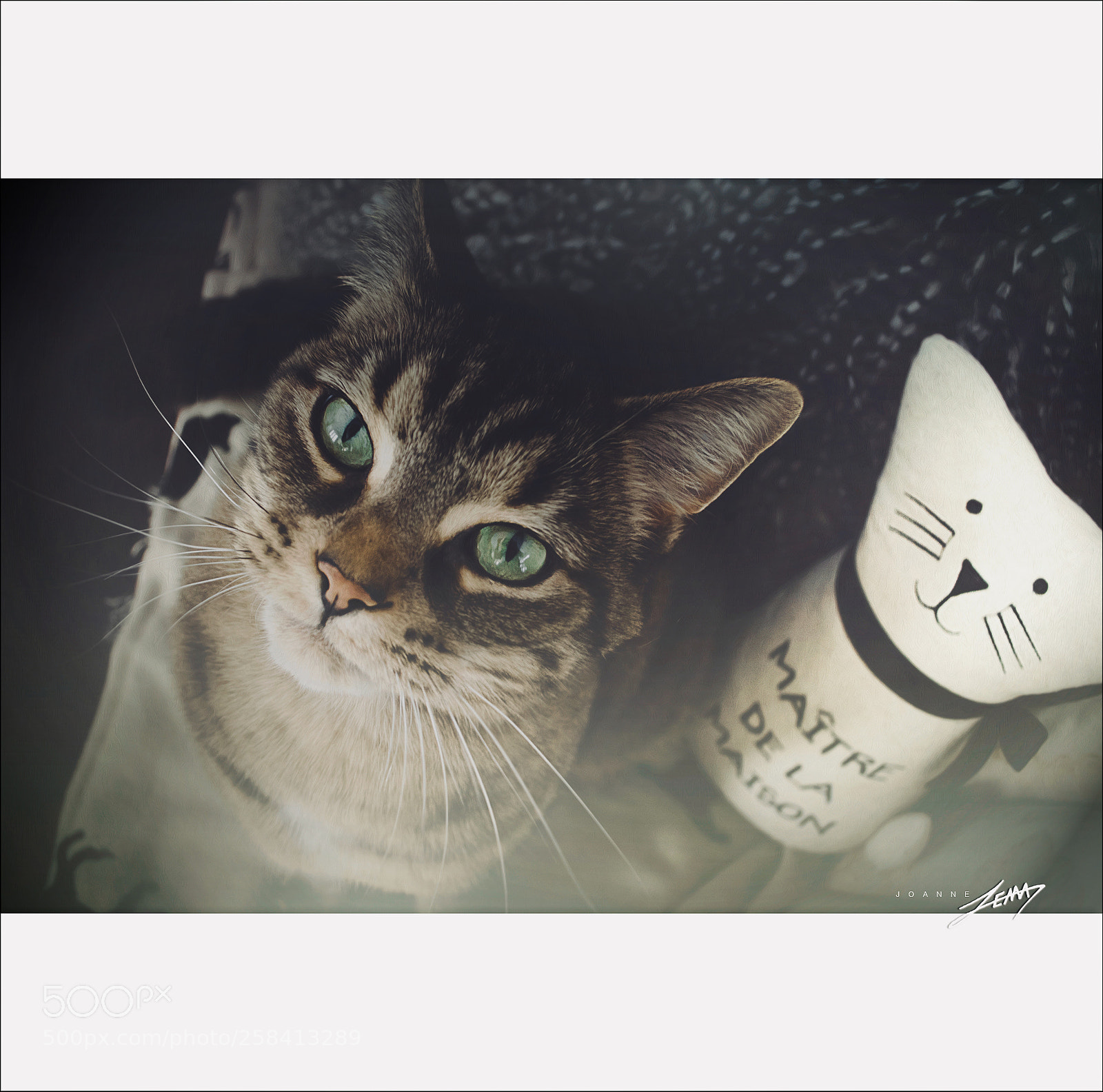 Nikon D3100 sample photo. Le ma tre de photography