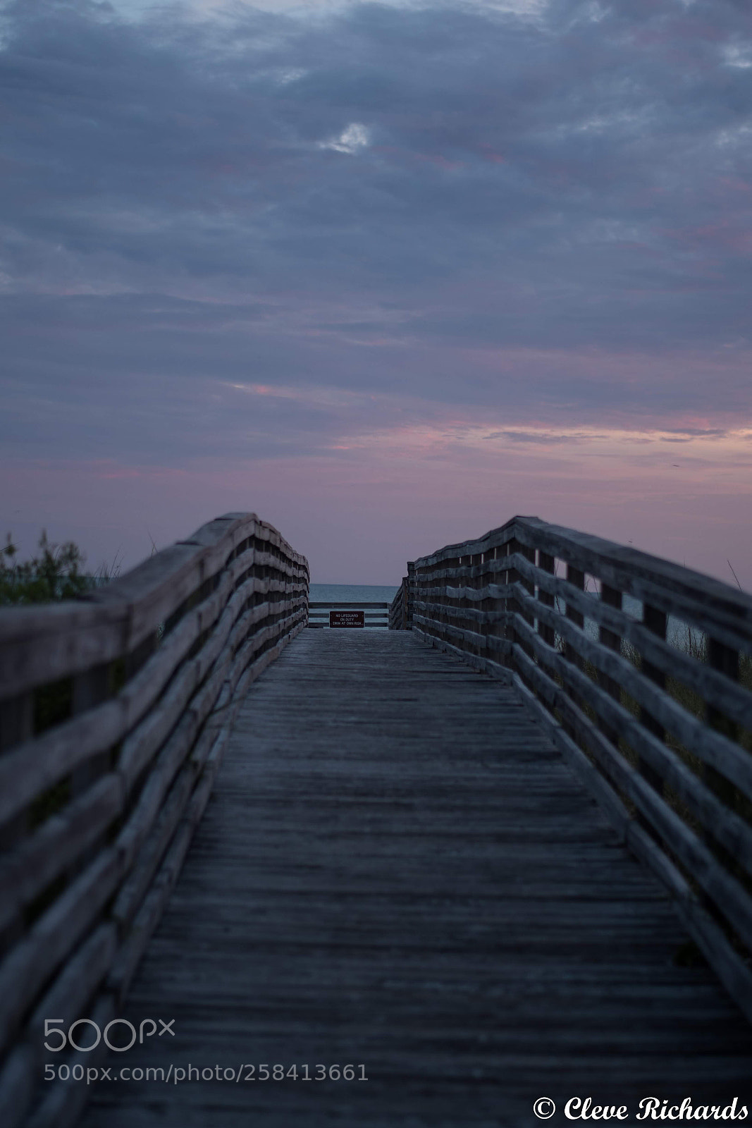 Nikon D500 sample photo. Pathway to serenity photography