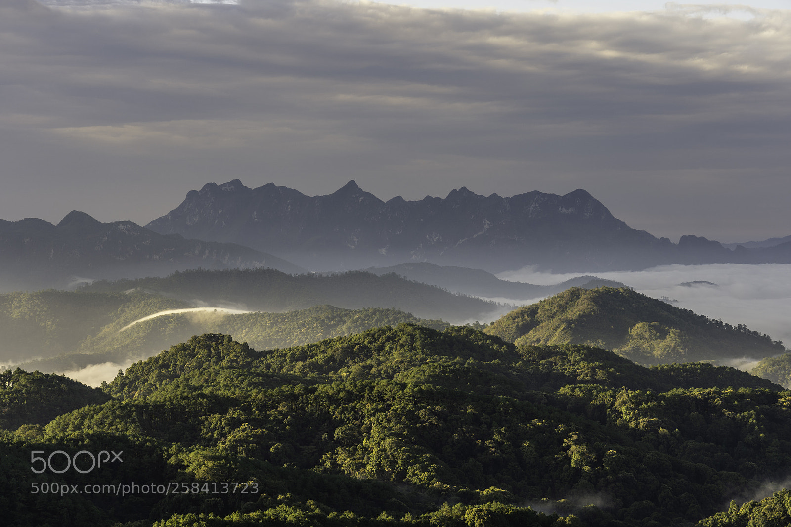Sony a7 III sample photo. Morning at doi kham photography