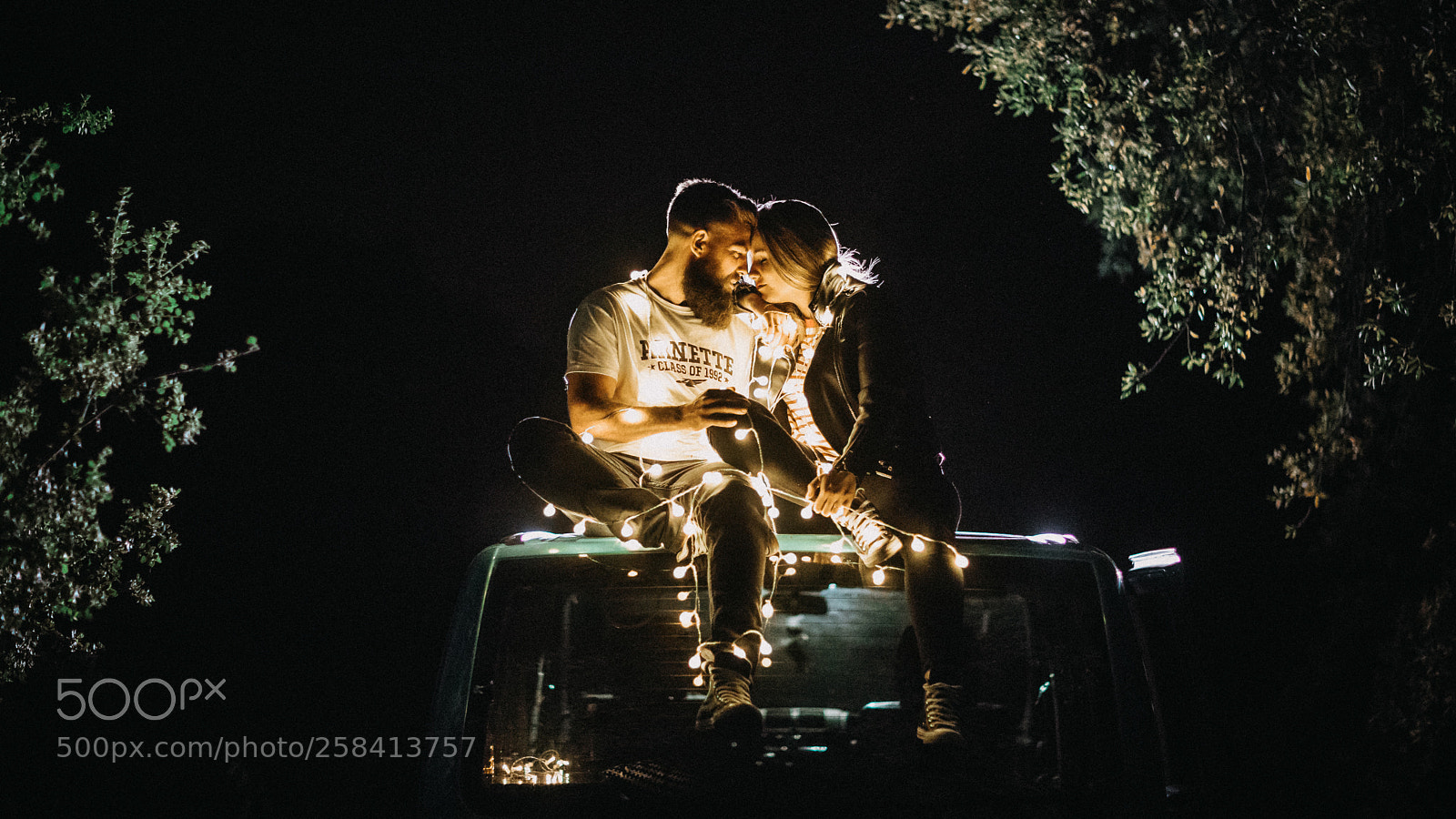 Canon EOS 5D Mark IV sample photo. Tangled photography