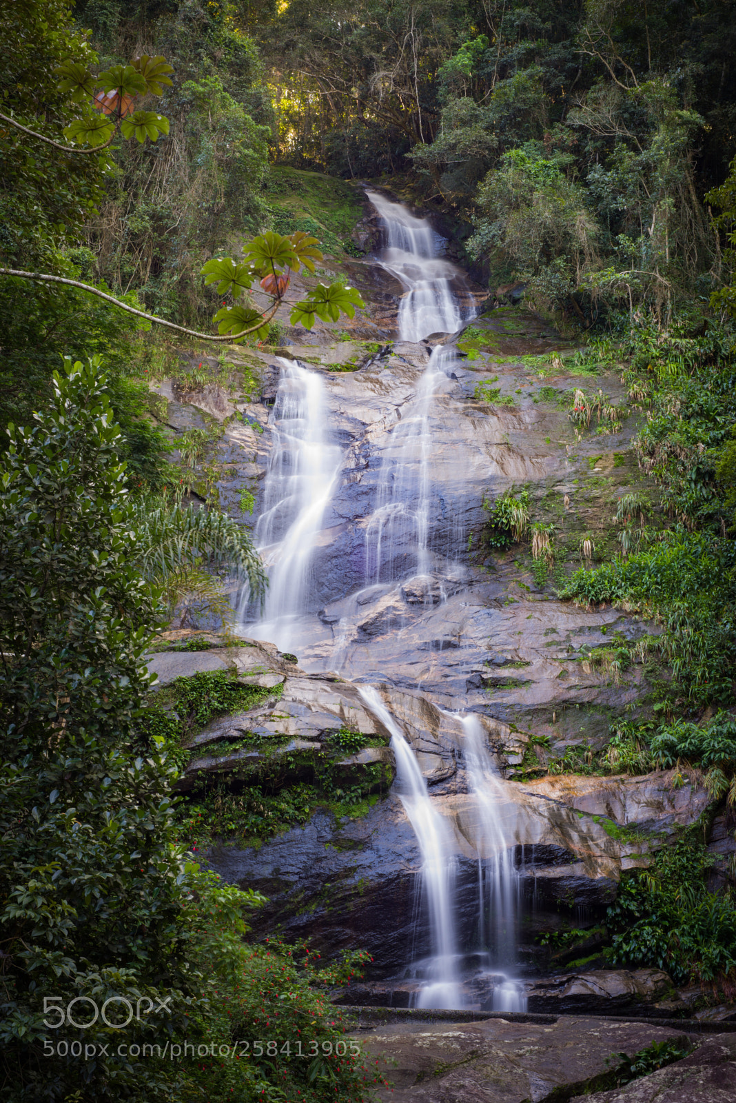 Nikon D610 sample photo. Cascatinha floresta da tijuca photography