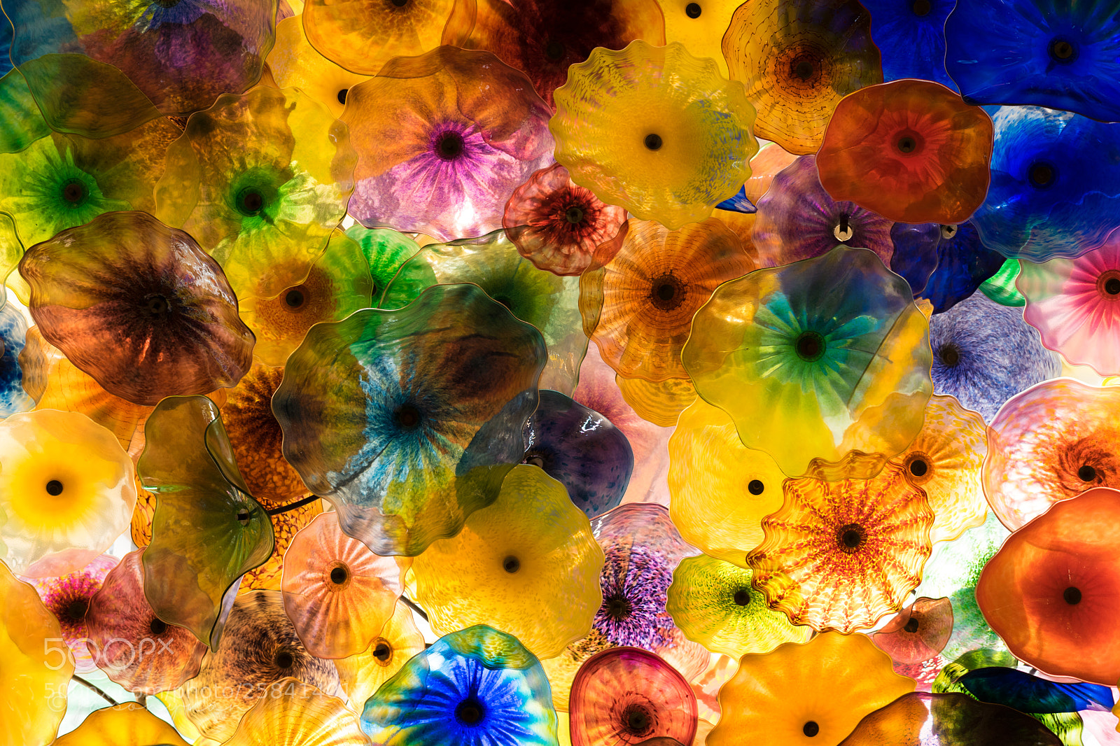 Sony a7 II sample photo. Bellagio photography