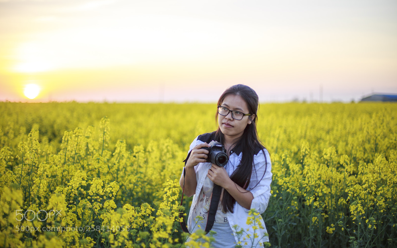 Canon EOS 6D sample photo. Img photography