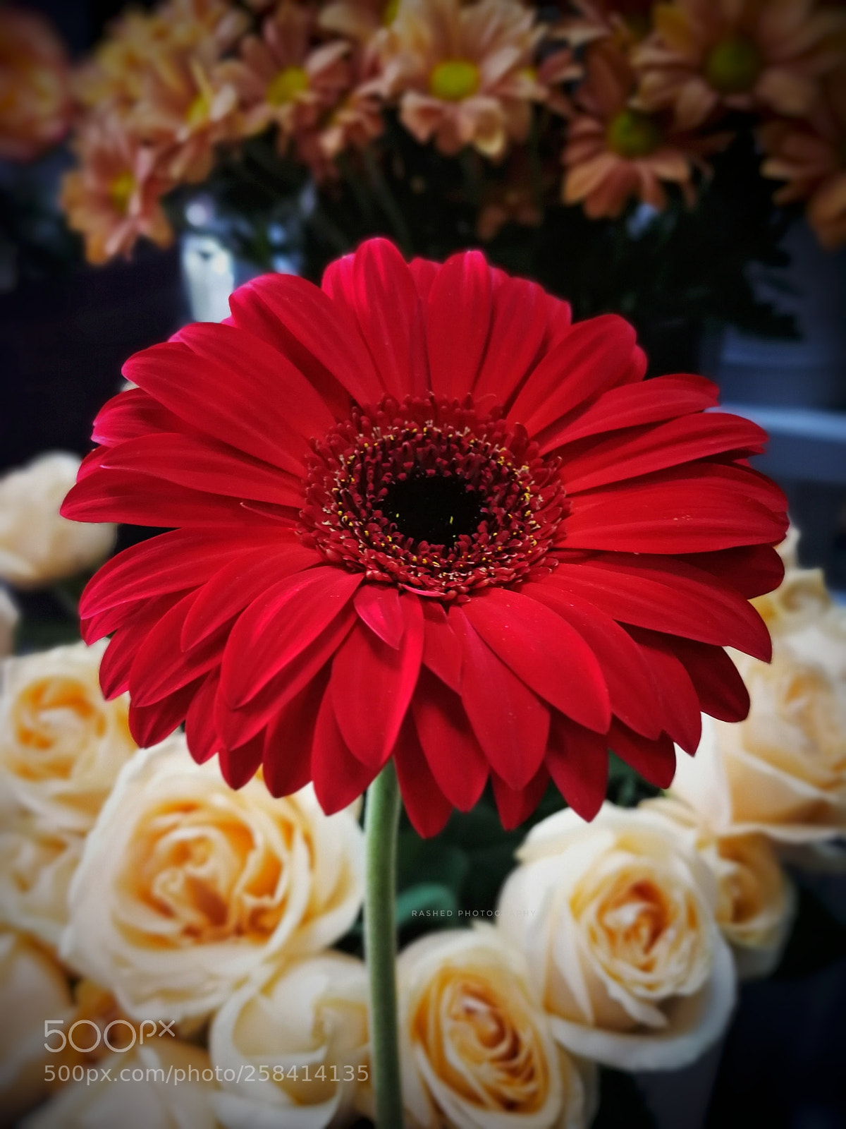 HUAWEI Mate 9 sample photo. Untitled photography