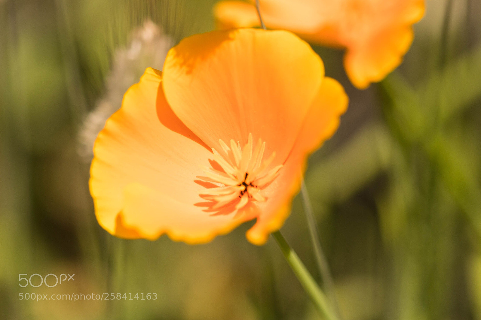 Canon EOS 80D sample photo. Berc es par le photography