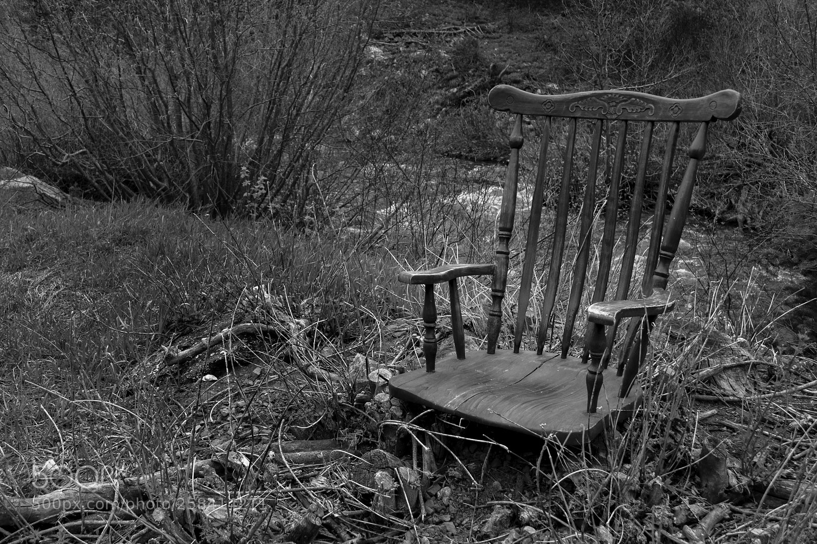 Nikon D5200 sample photo. Nature's throne photography