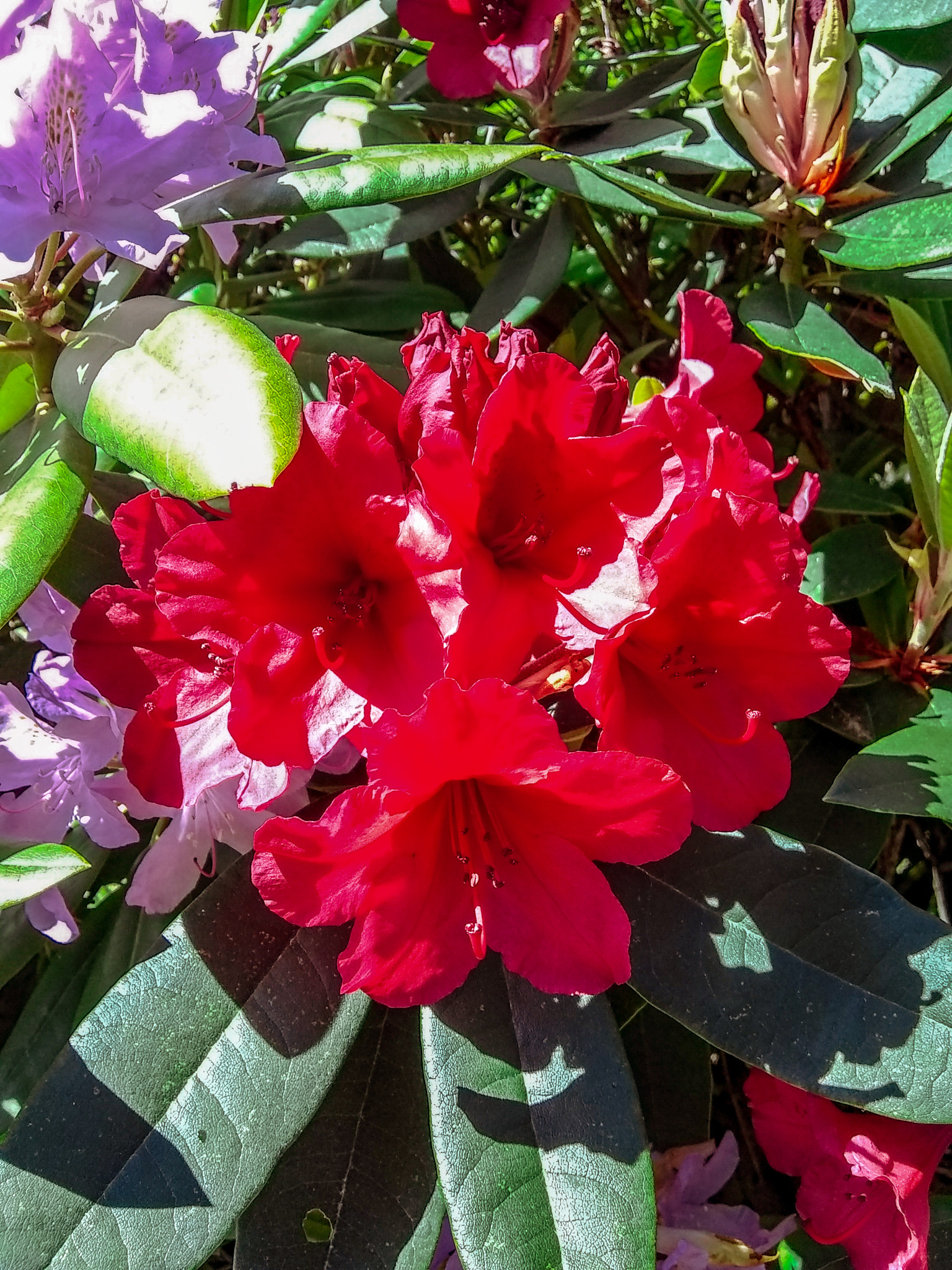 Motorola Moto E4 sample photo