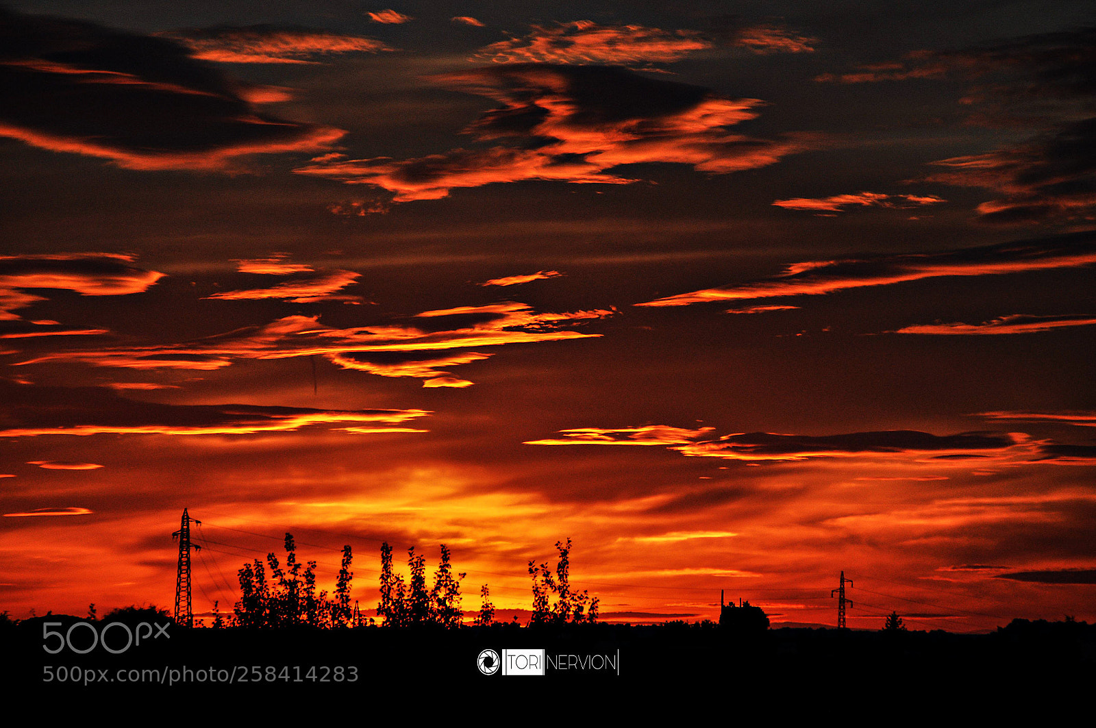 Nikon D5000 sample photo. Different moments photography