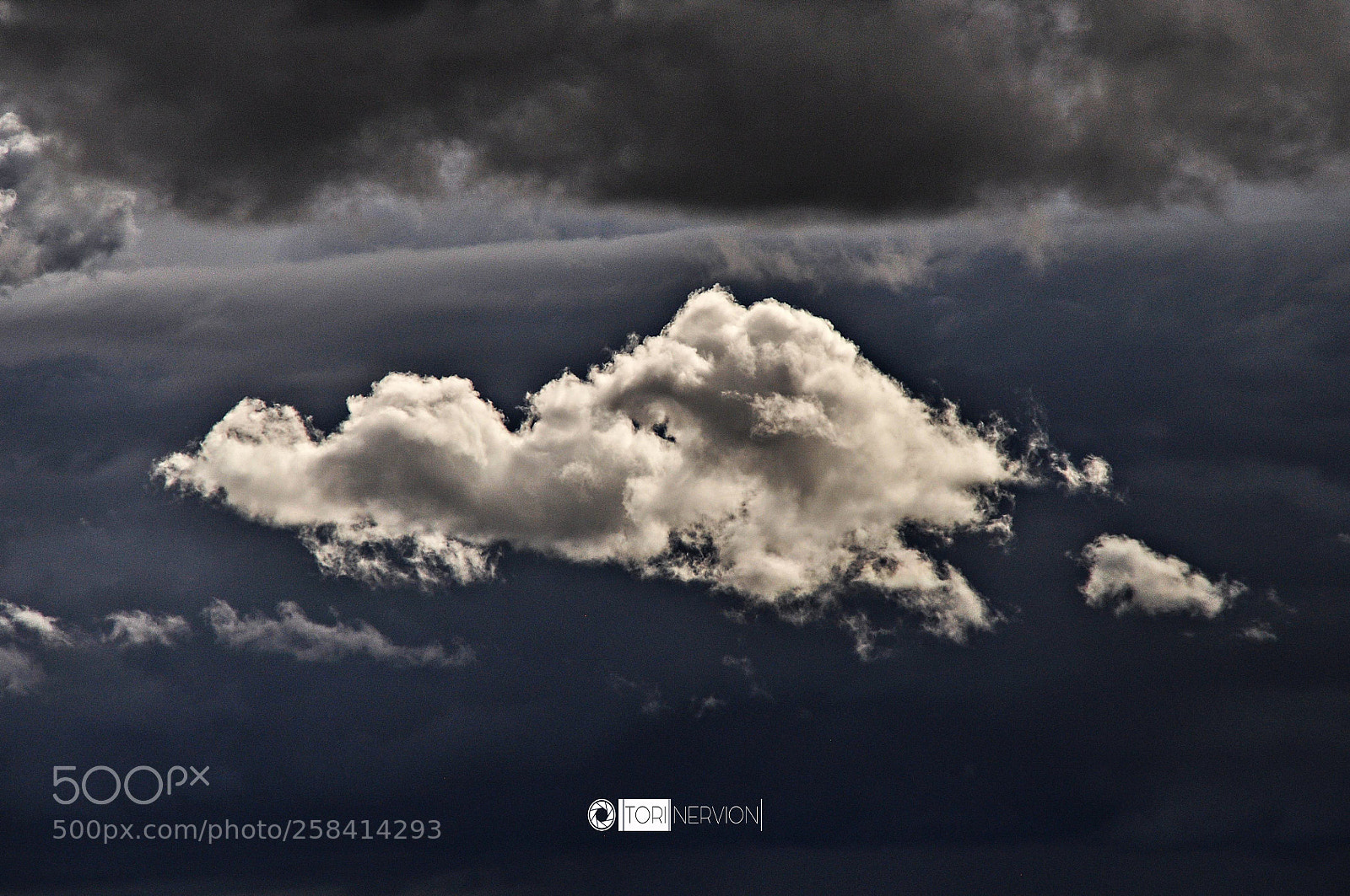 Nikon D5000 sample photo. Different moments photography