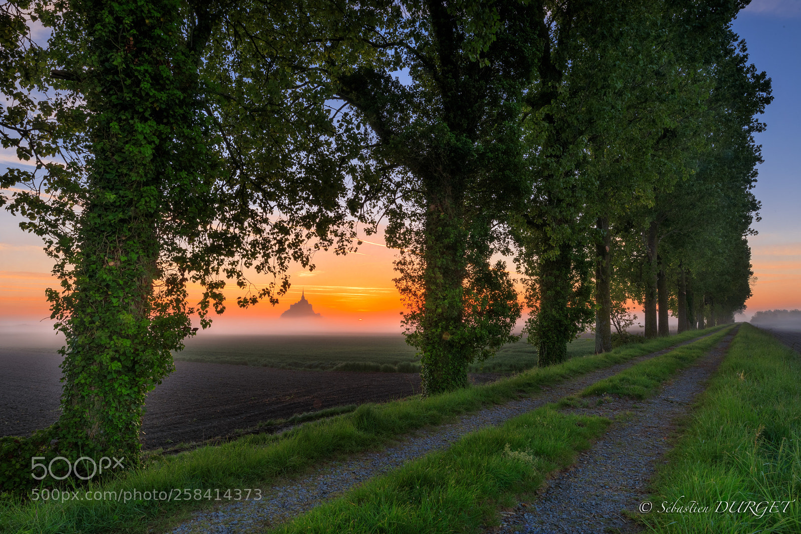 Canon EOS 5D Mark IV sample photo. Sunrise on mt st photography