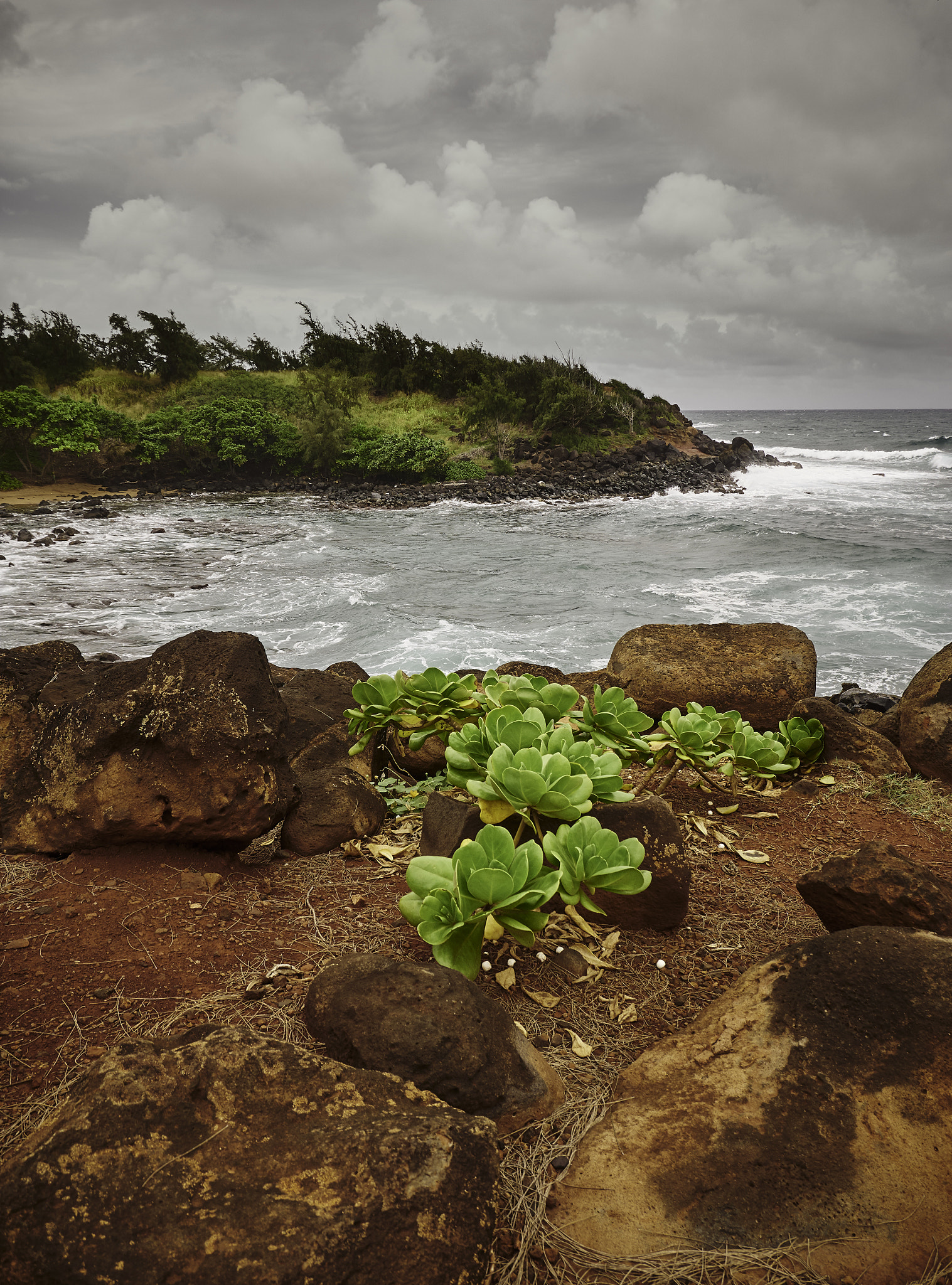 Panasonic Lumix DMC-G85 (Lumix DMC-G80) sample photo. Hawaiian coastline 13 photography