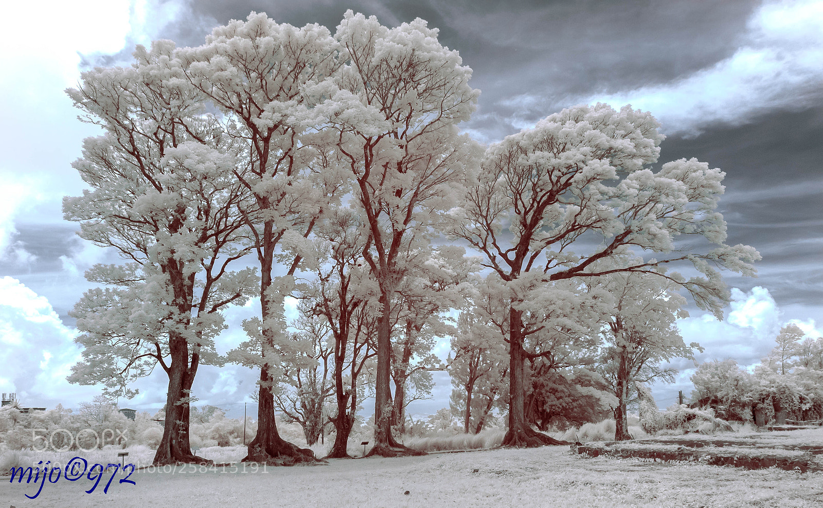 Canon EOS 50D sample photo. Tout blanc photography