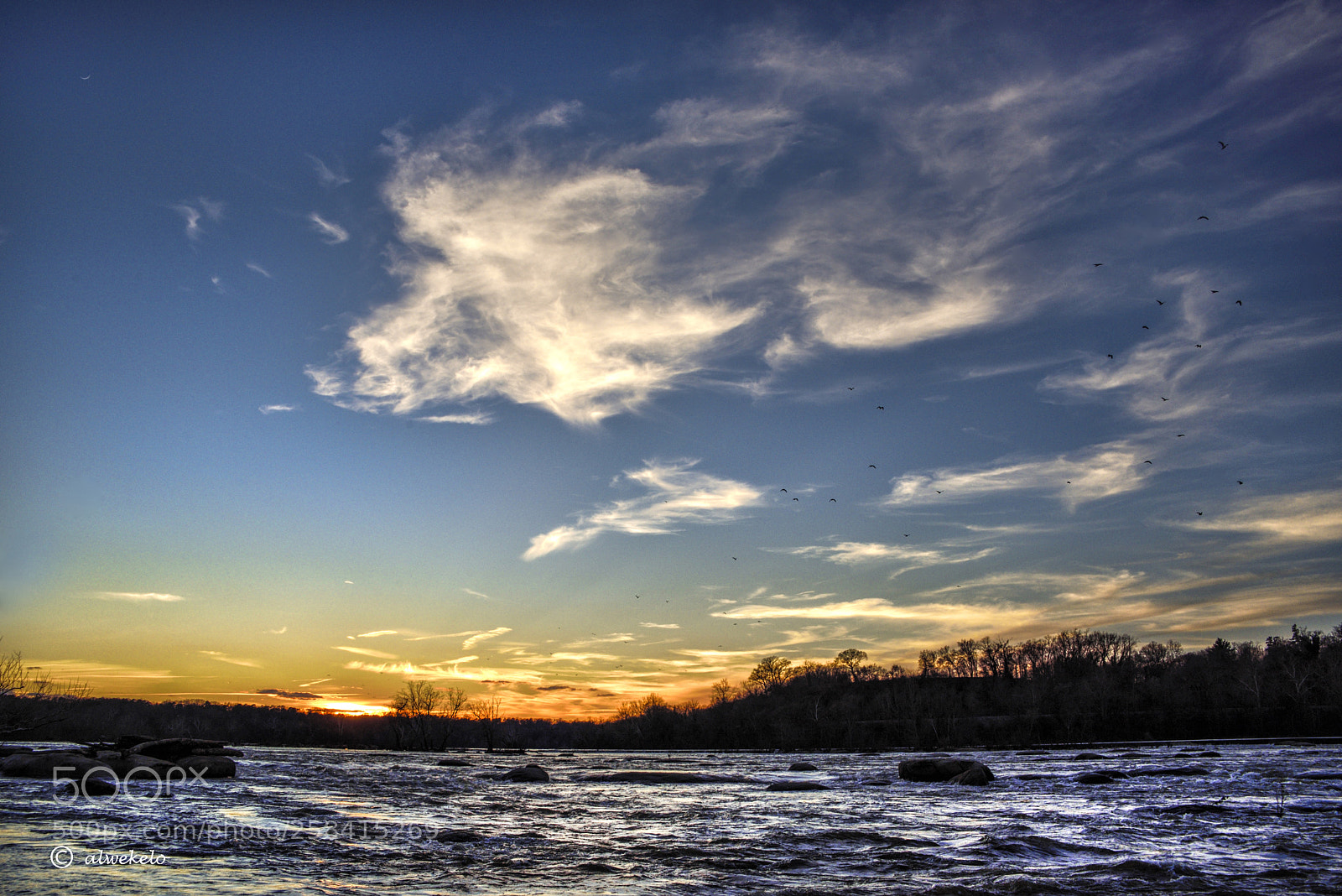 Nikon D750 sample photo. Sunset in flight photography