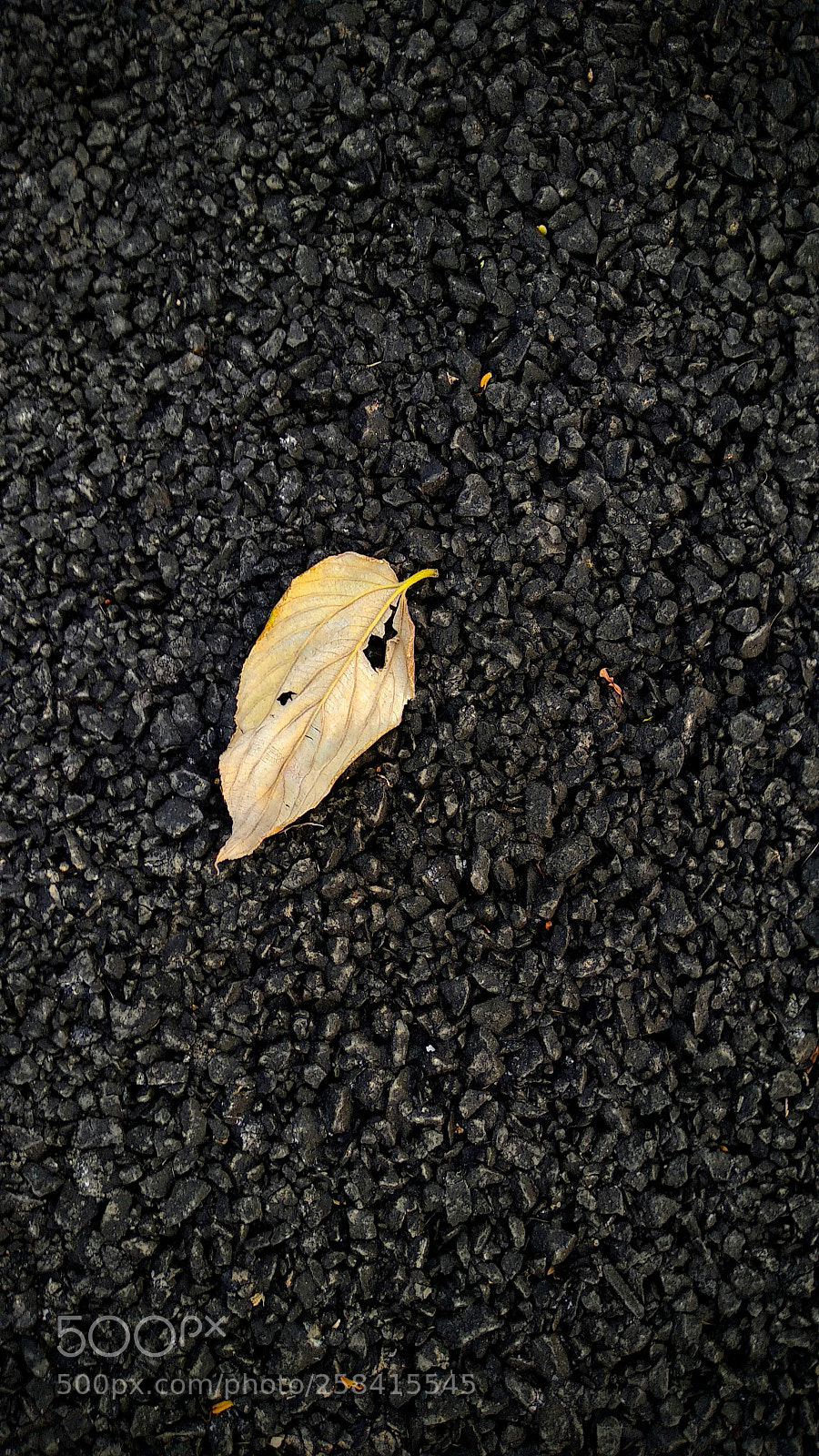 Xiaomi Mi A1 sample photo. The black future photography