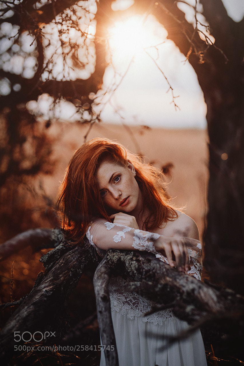 Canon EOS 5D Mark IV sample photo. Michel photography