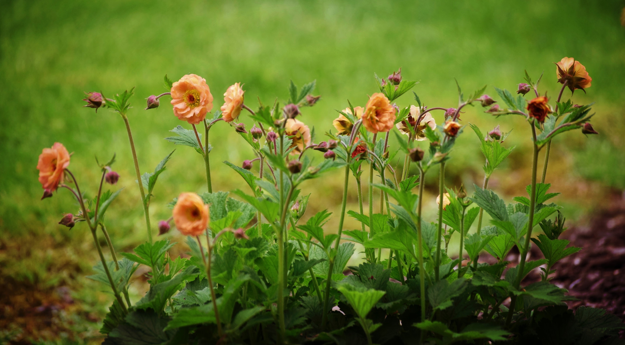 Nikon D5300 sample photo. "..today" photography