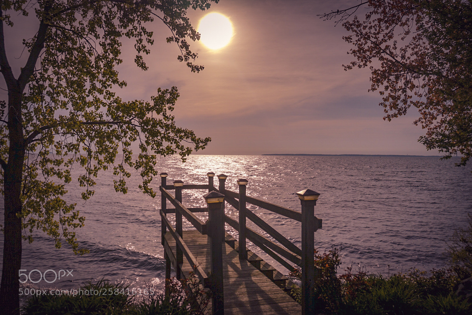 Sony a7 II sample photo. Through the dock photography