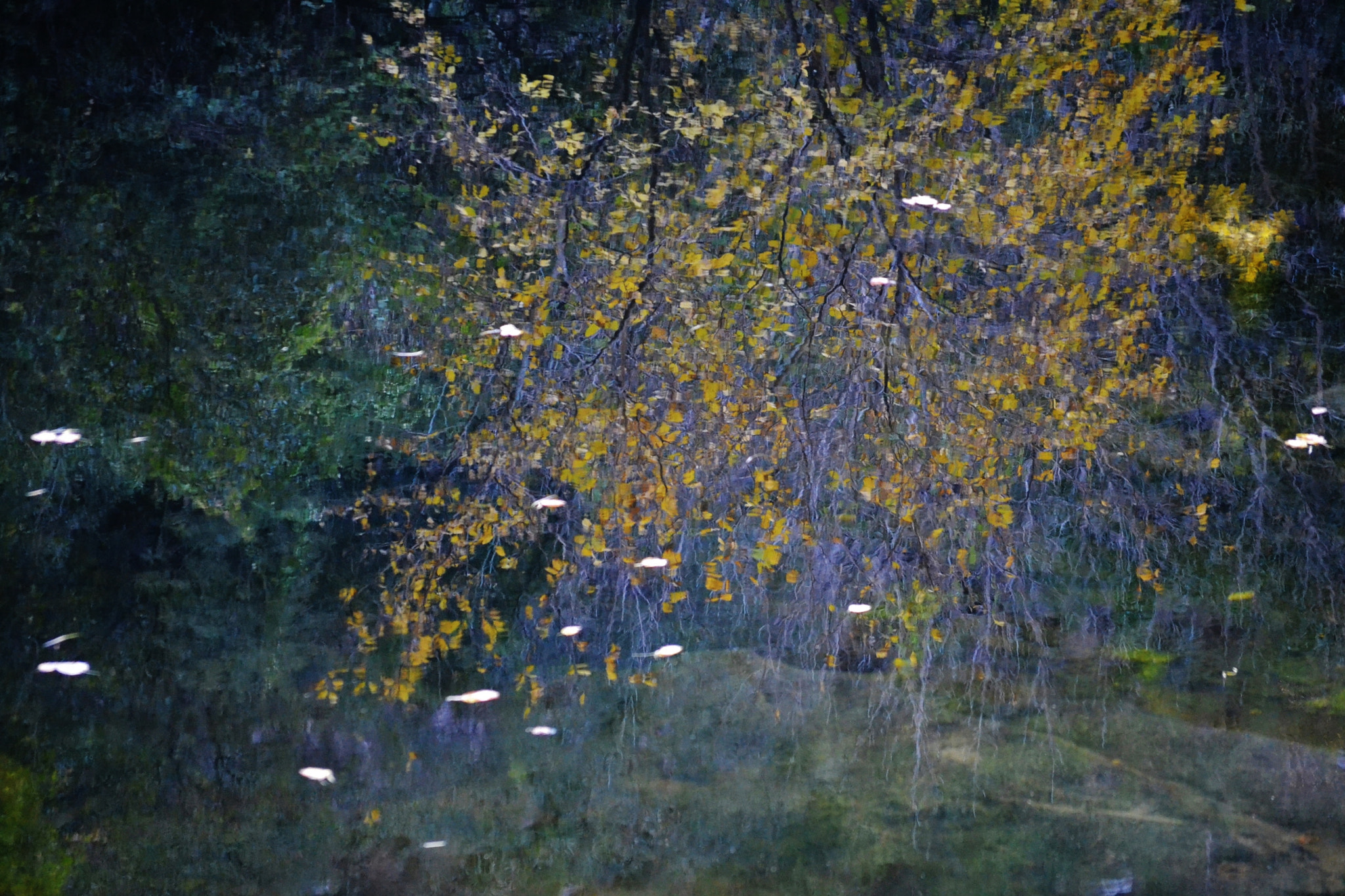 Nikon D3100 sample photo. Daedd o () photography