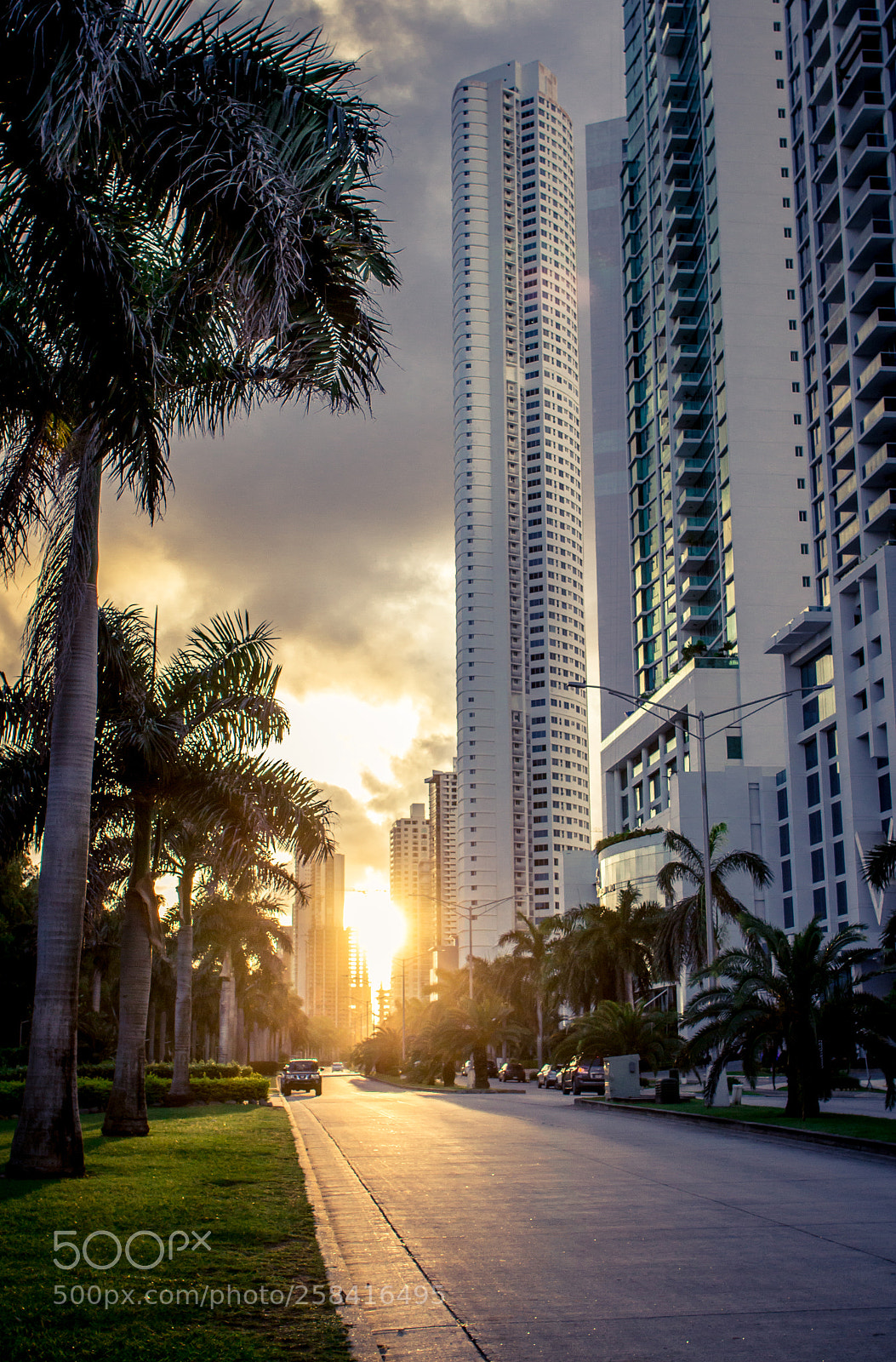 Canon EOS 600D (Rebel EOS T3i / EOS Kiss X5) sample photo. Road to the sunset photography
