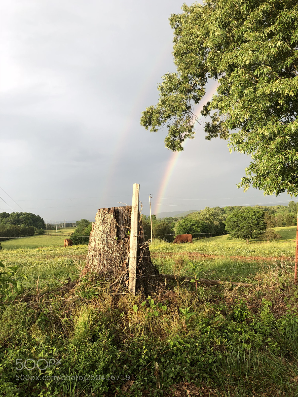 Apple iPhone X sample photo. The double rainbow  photography